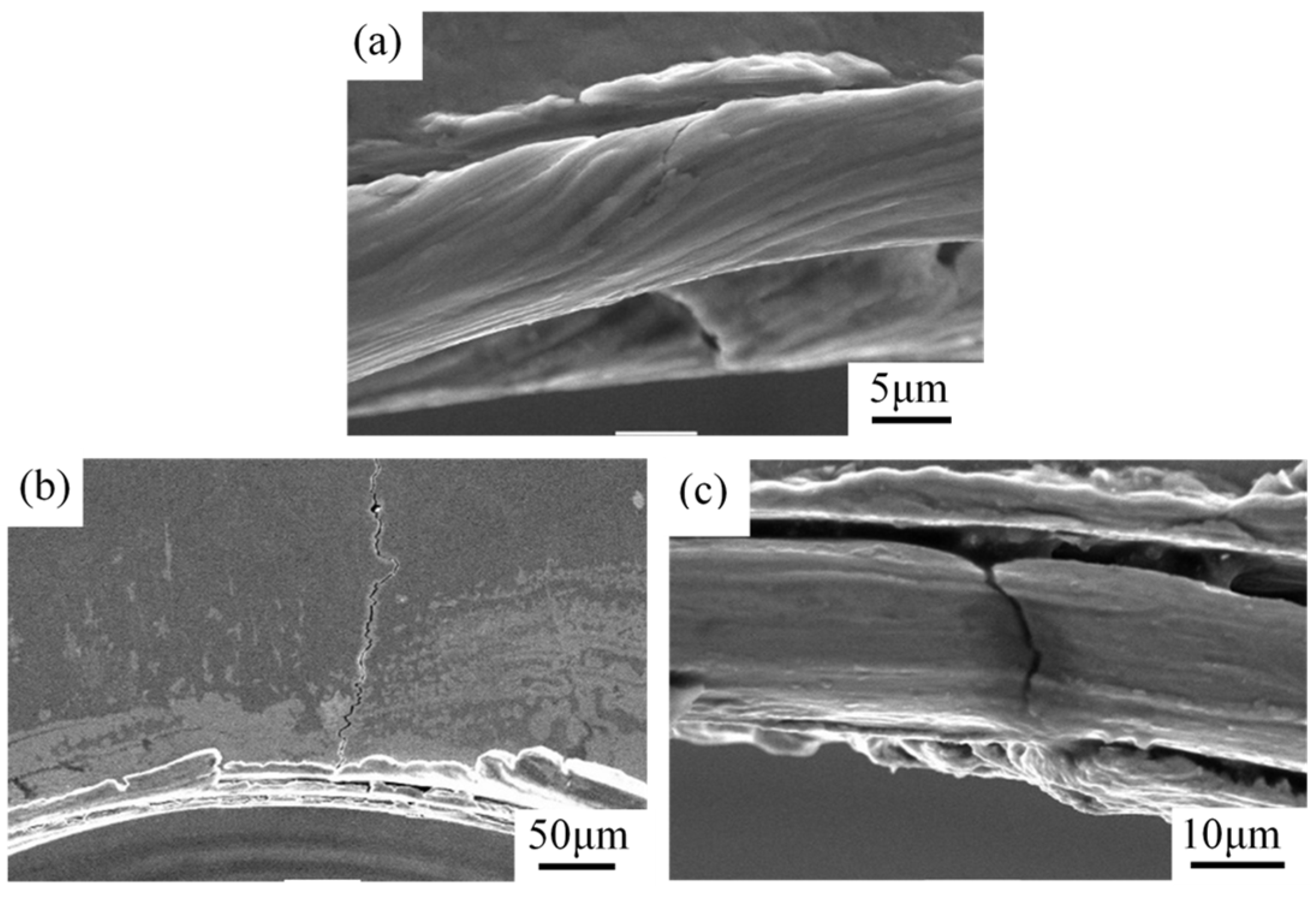 Metals 11 00964 g007 Metals 11 00964 g007