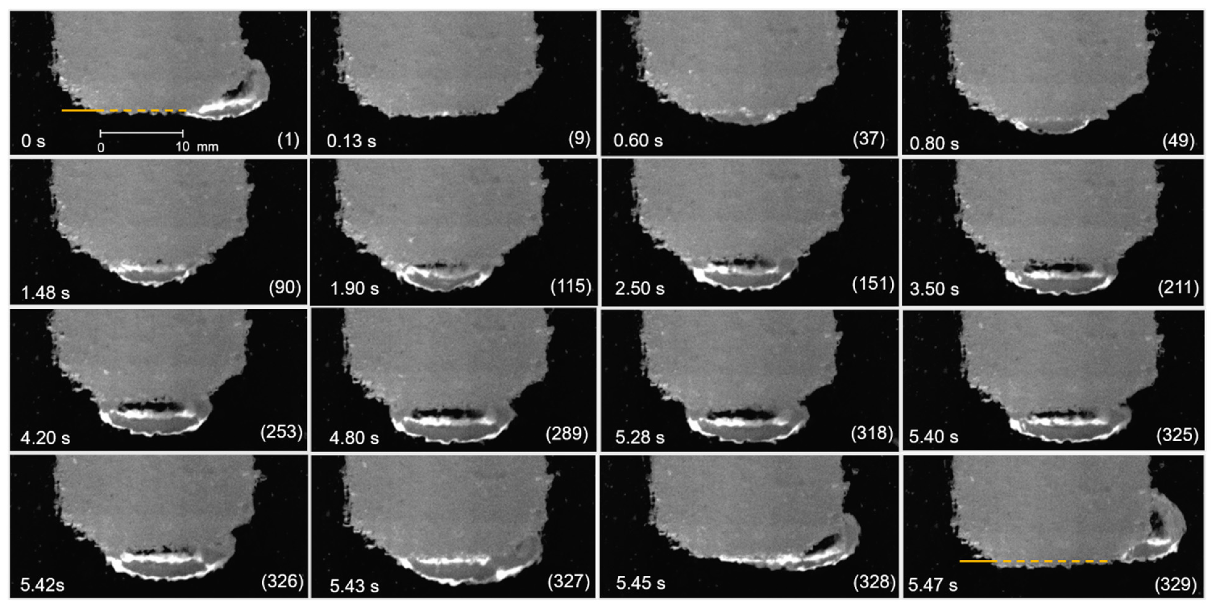Metals 11 00965 g007