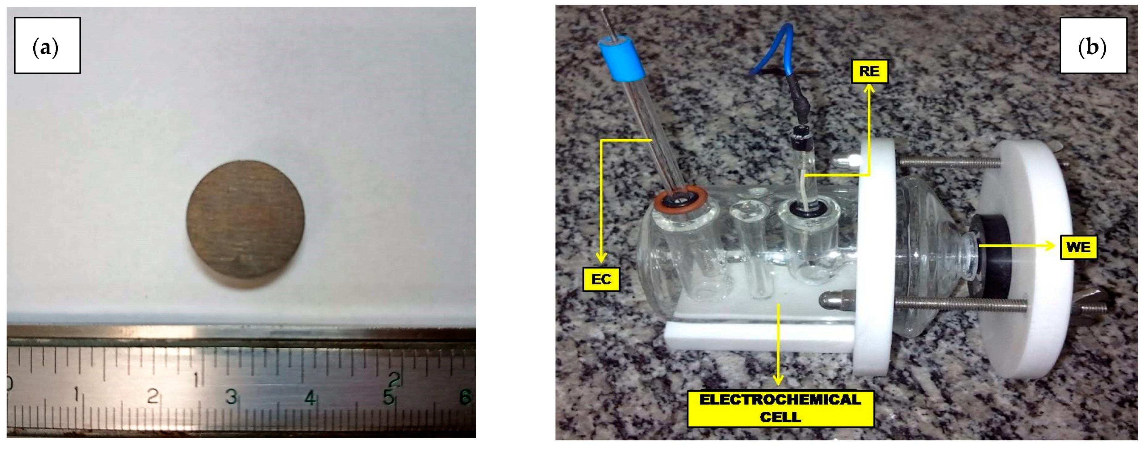 Metals 11 00980 g001 Metals 11 00980 g001