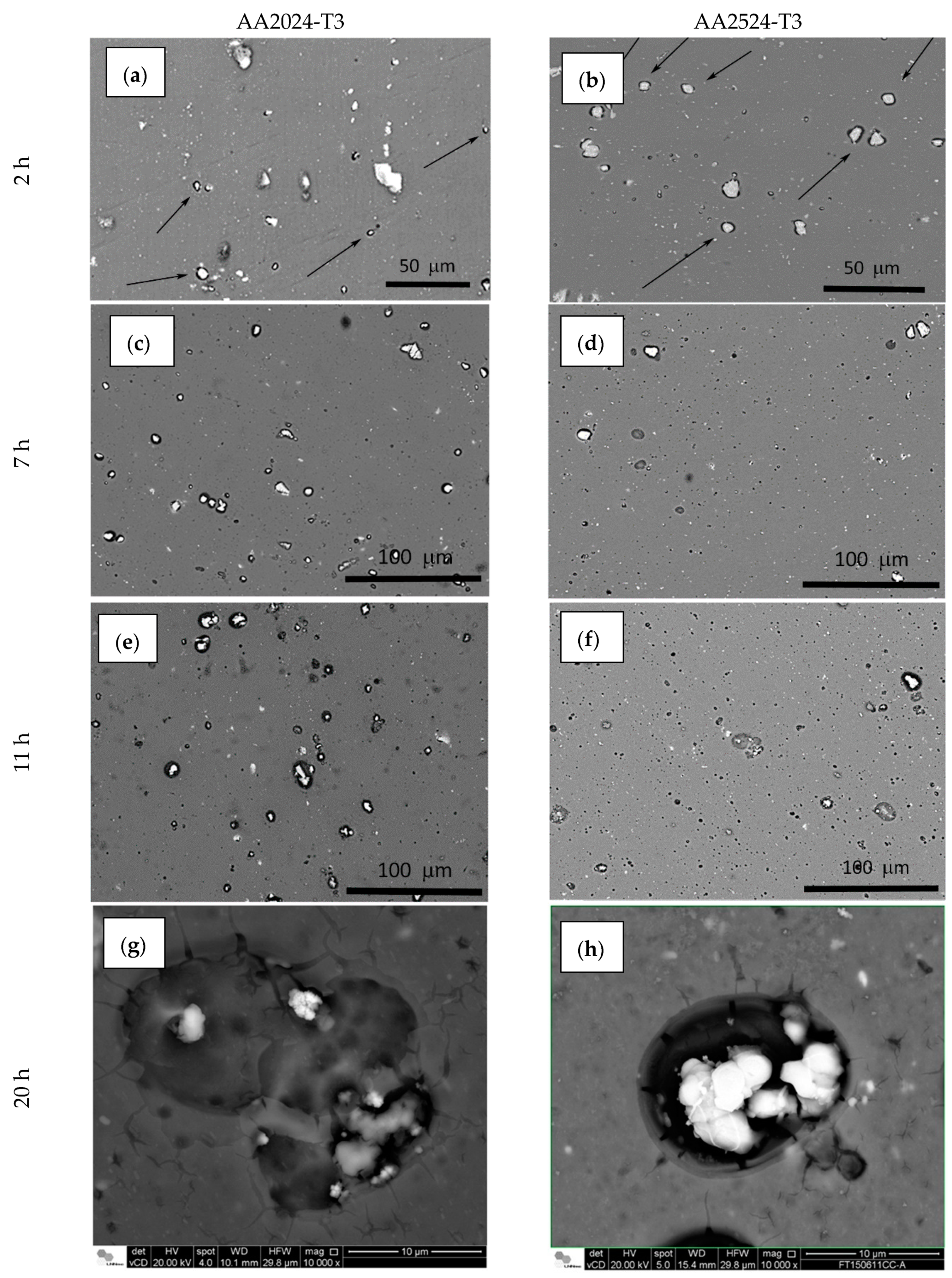 Metals 11 00980 g004 Metals 11 00980 g004