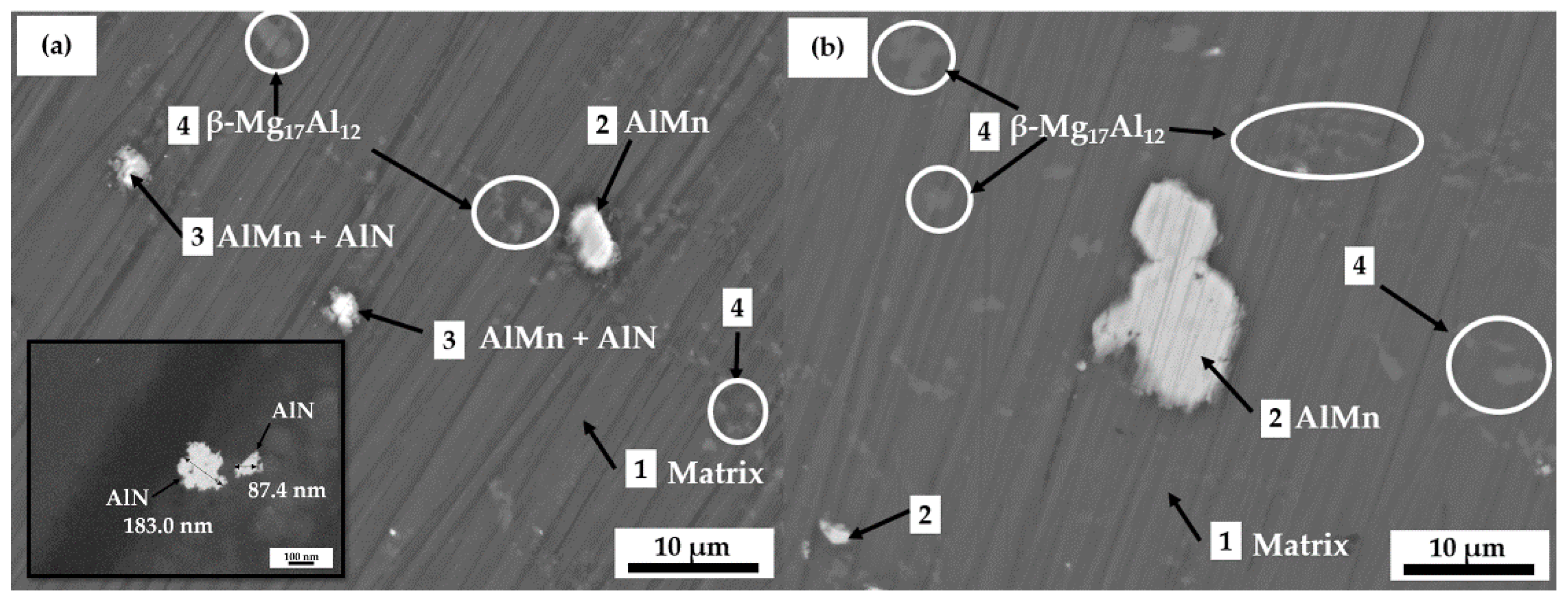 Metals 11 00990 g003