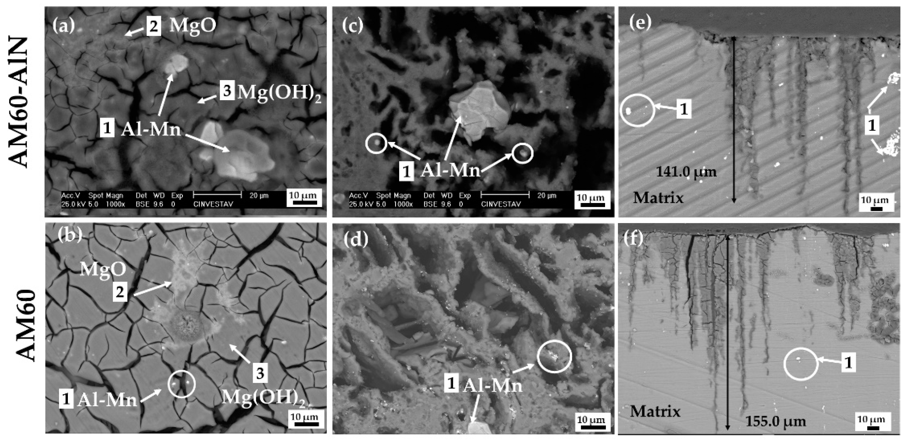 Metals 11 00990 g006