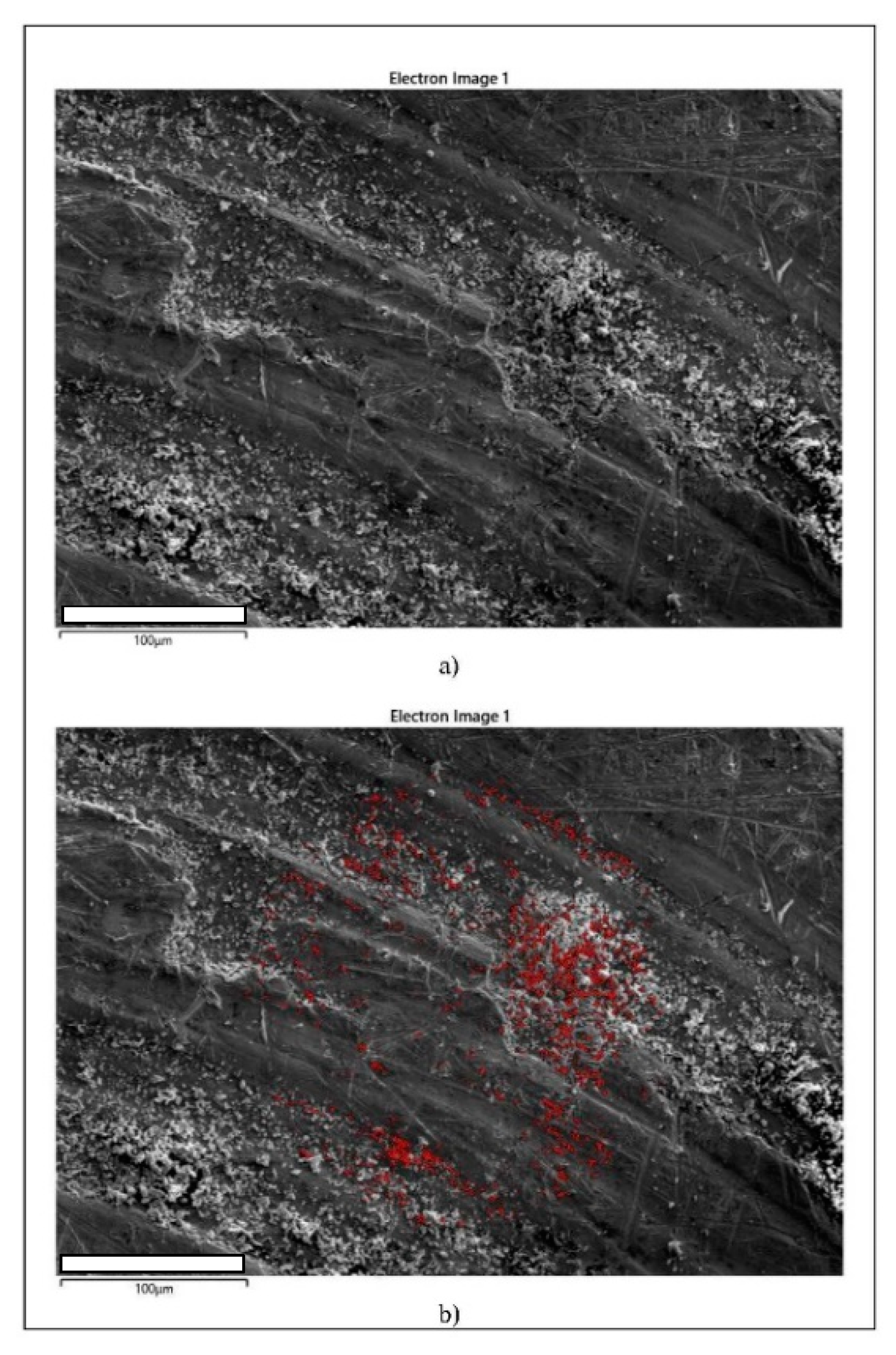 Metals 11 00997 g005 550