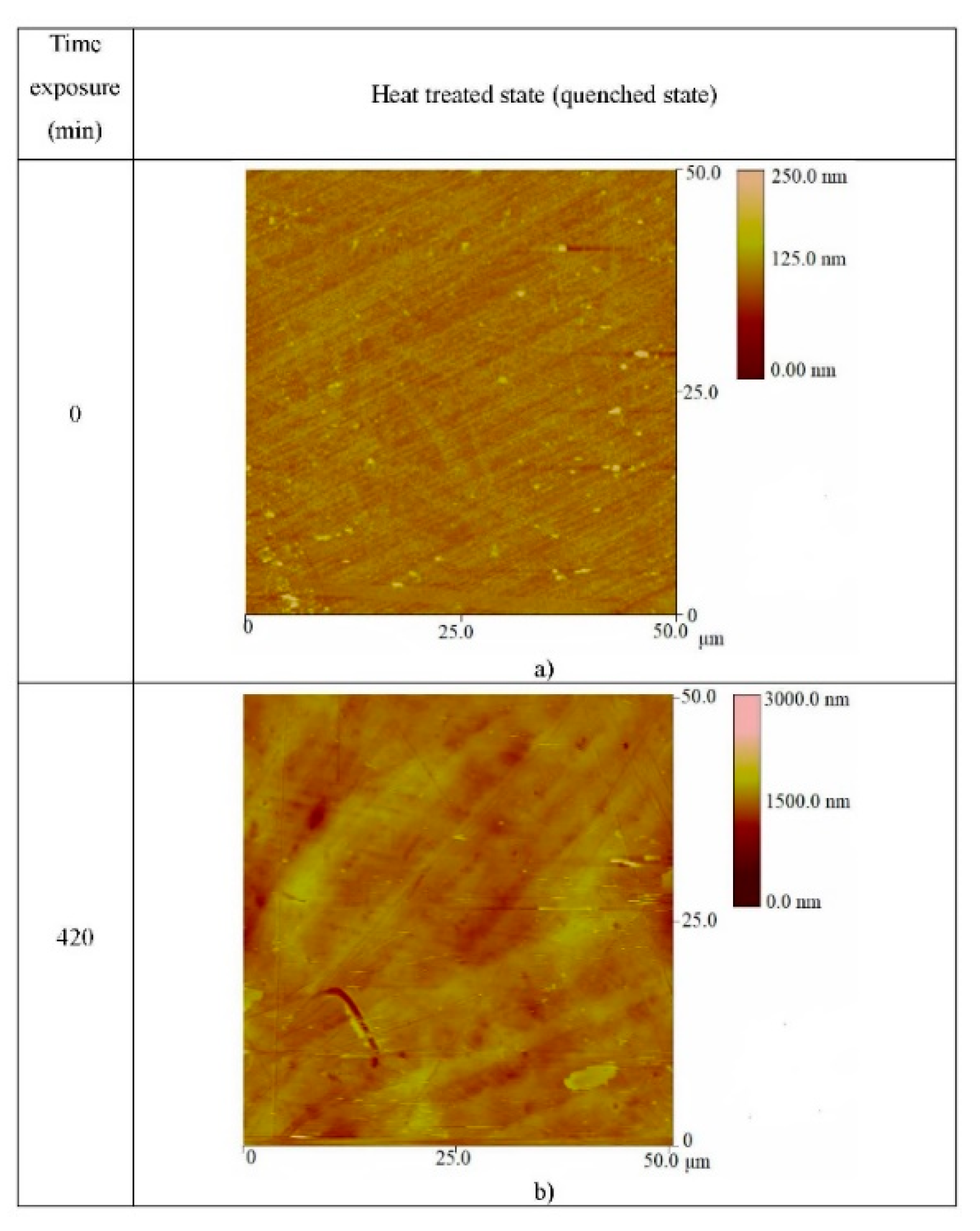 Metals 11 00997 g009 550