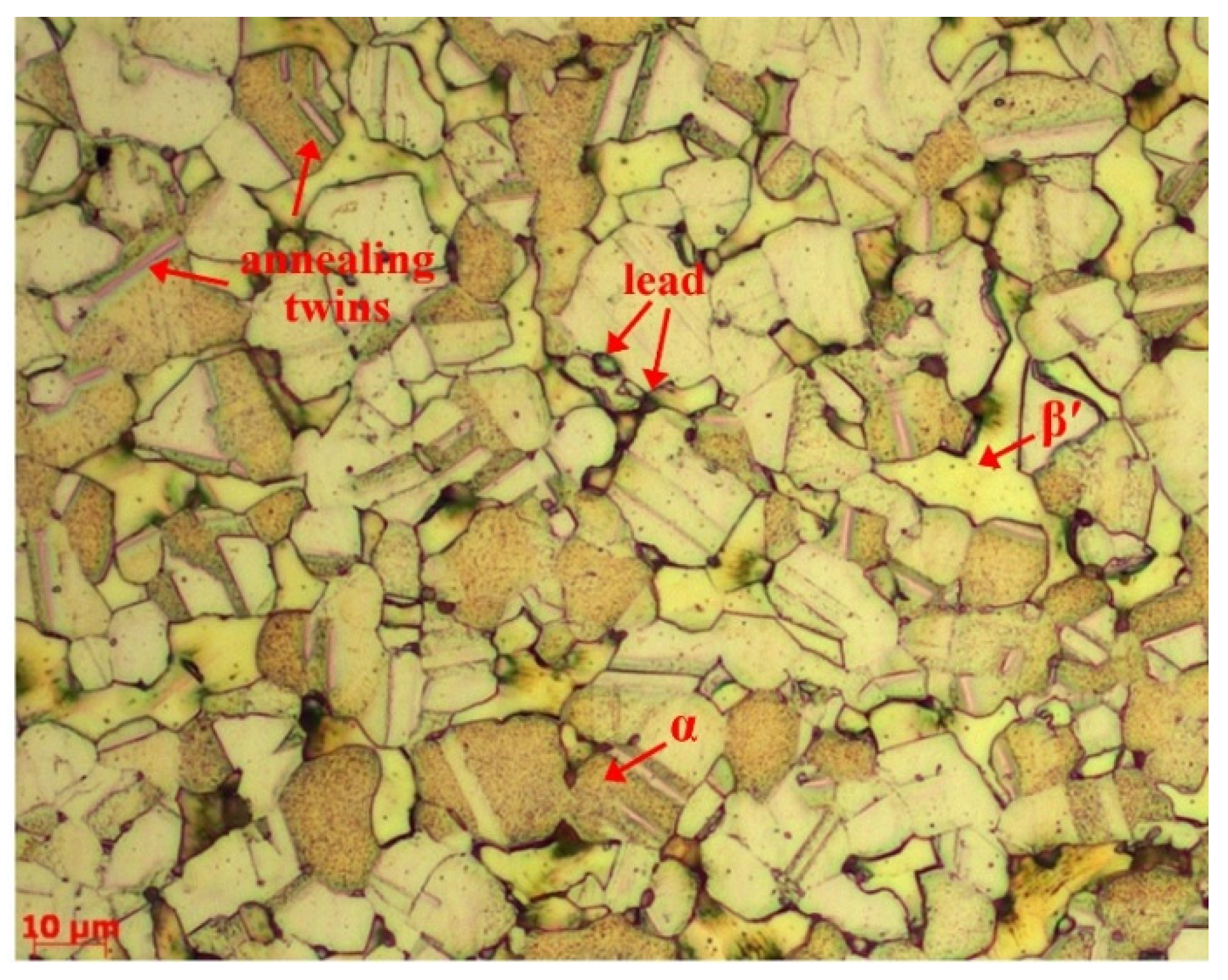 Brass Microstructure