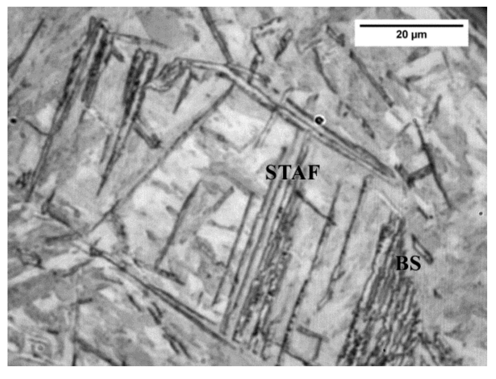 Metals 11 01011 g003