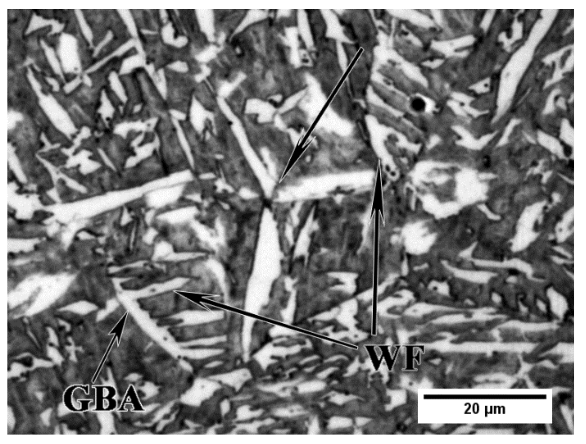 Metals 11 01011 g005