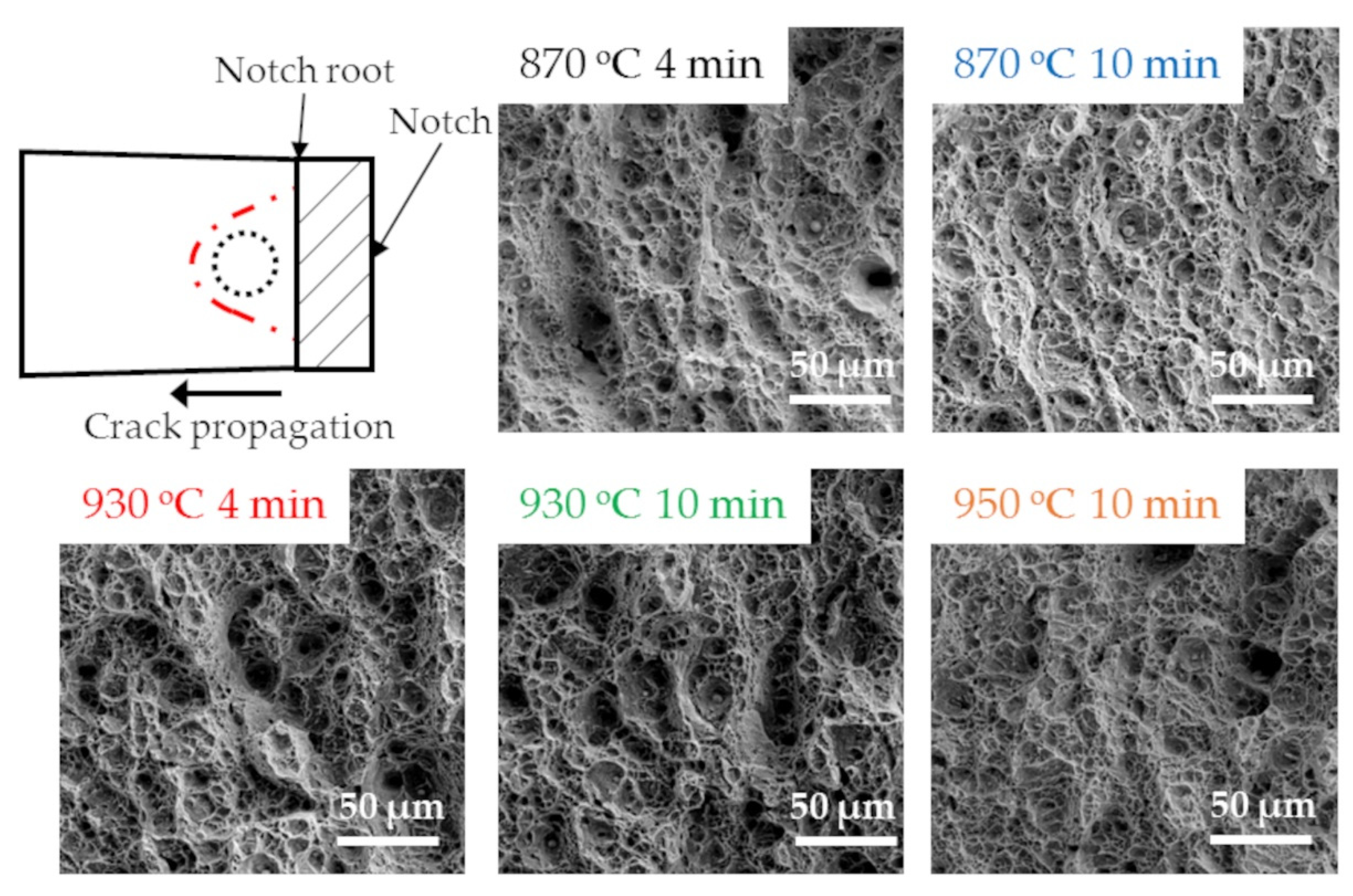 Metals 11 01013 g011 550