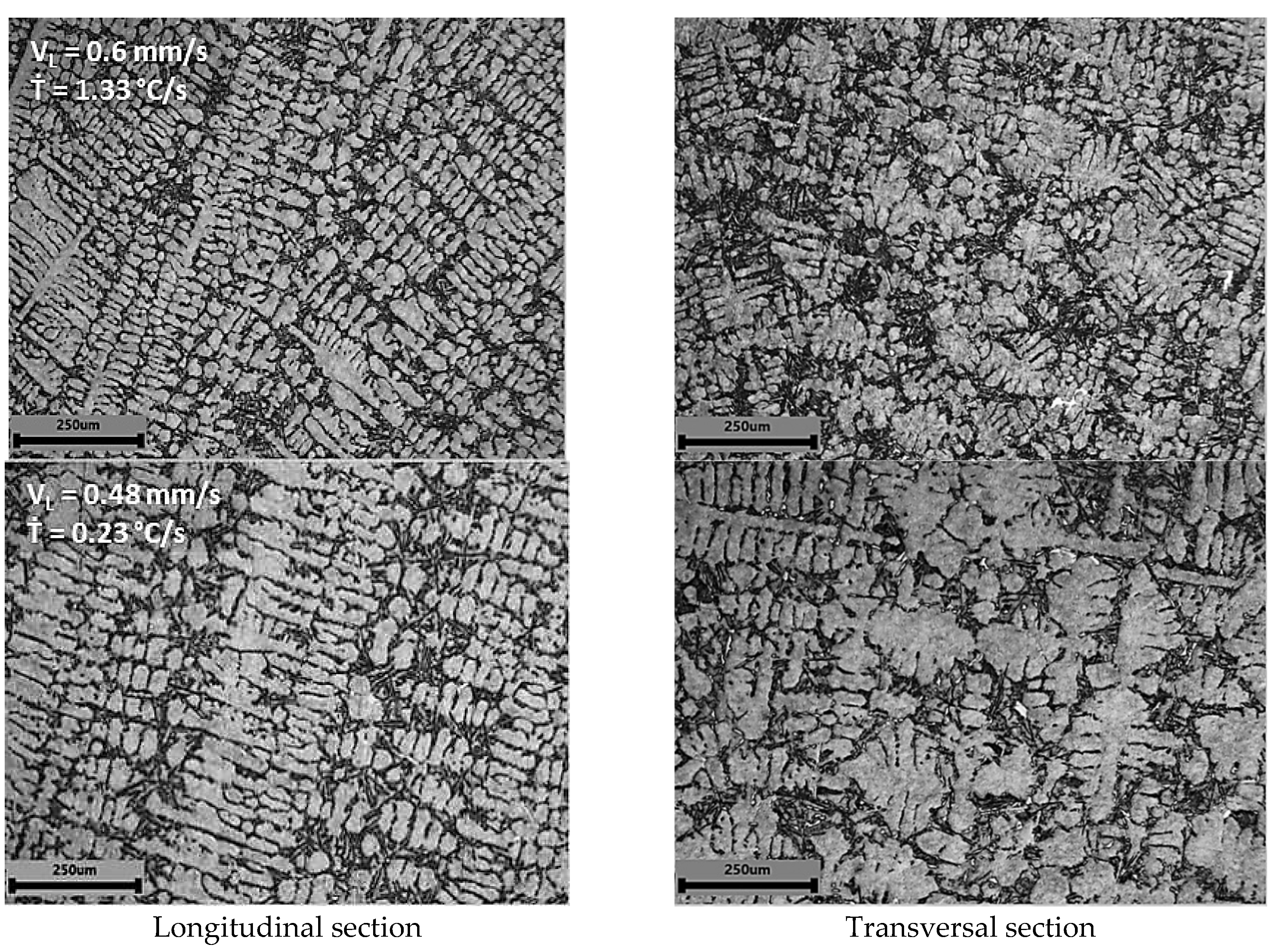 Metals 11 01019 g006b 550