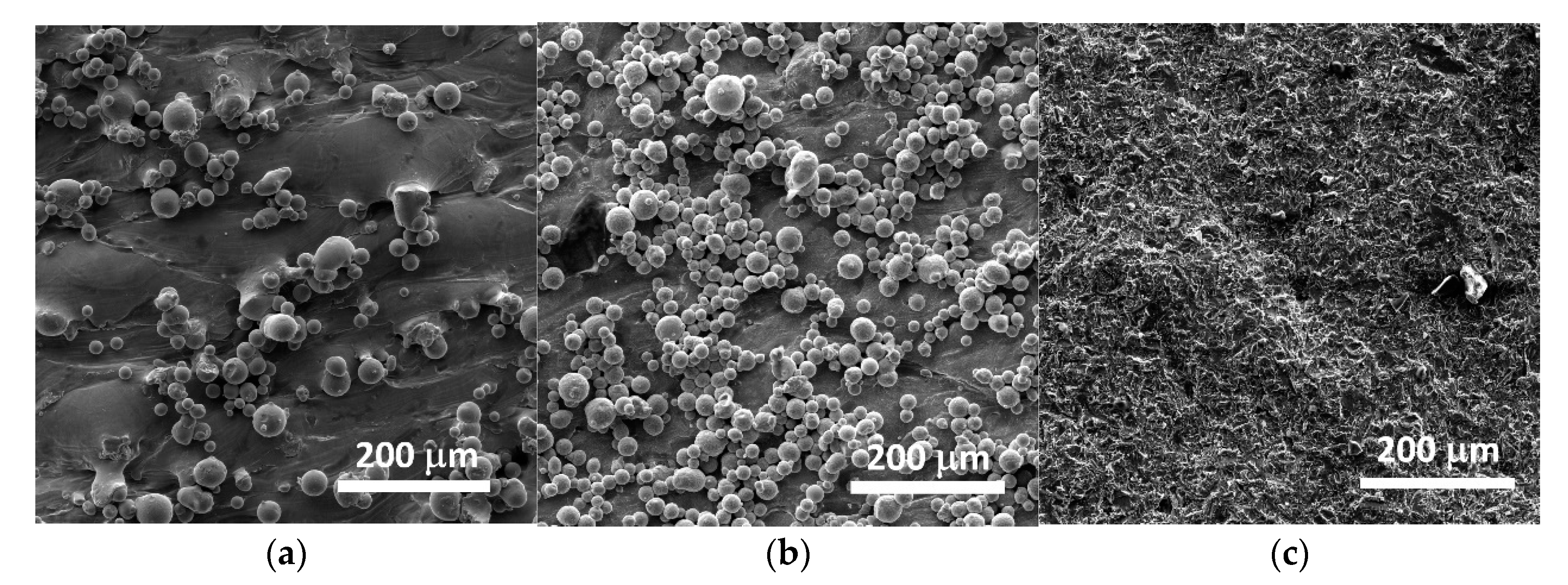 Metals 11 01028 g005