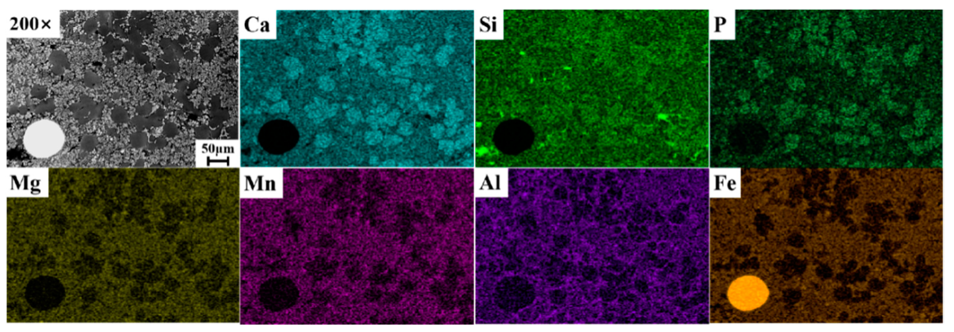 Metals 11 01030 g006