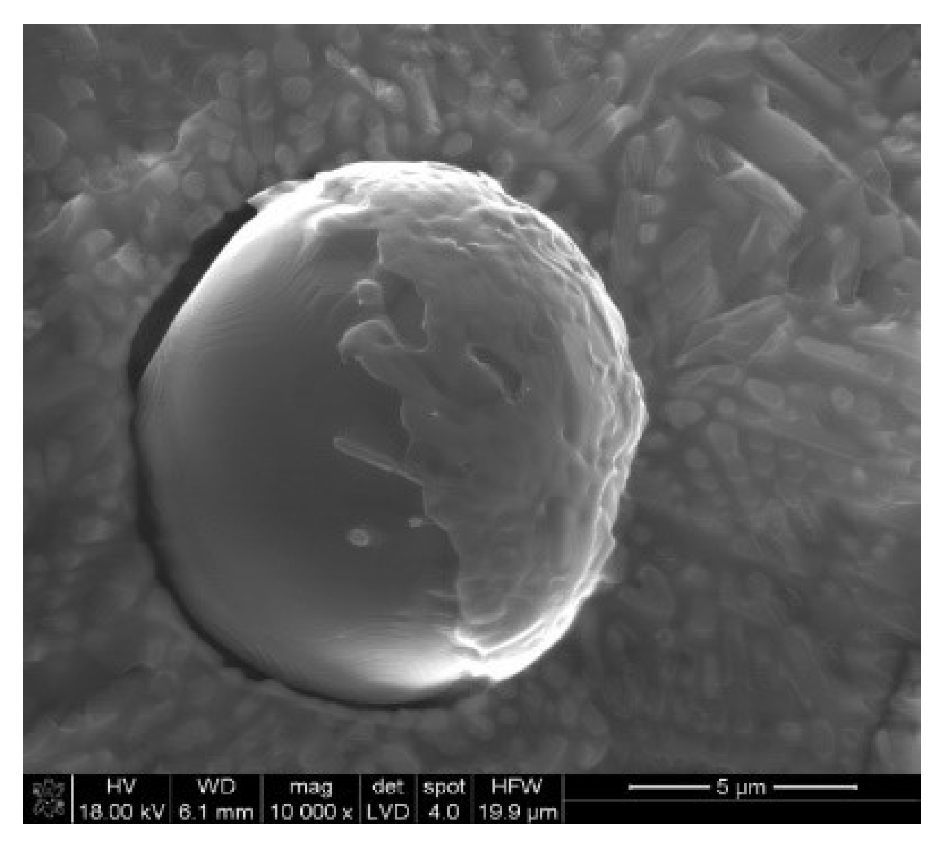 Metals 11 01032 g006 Metals 11 01032 g006