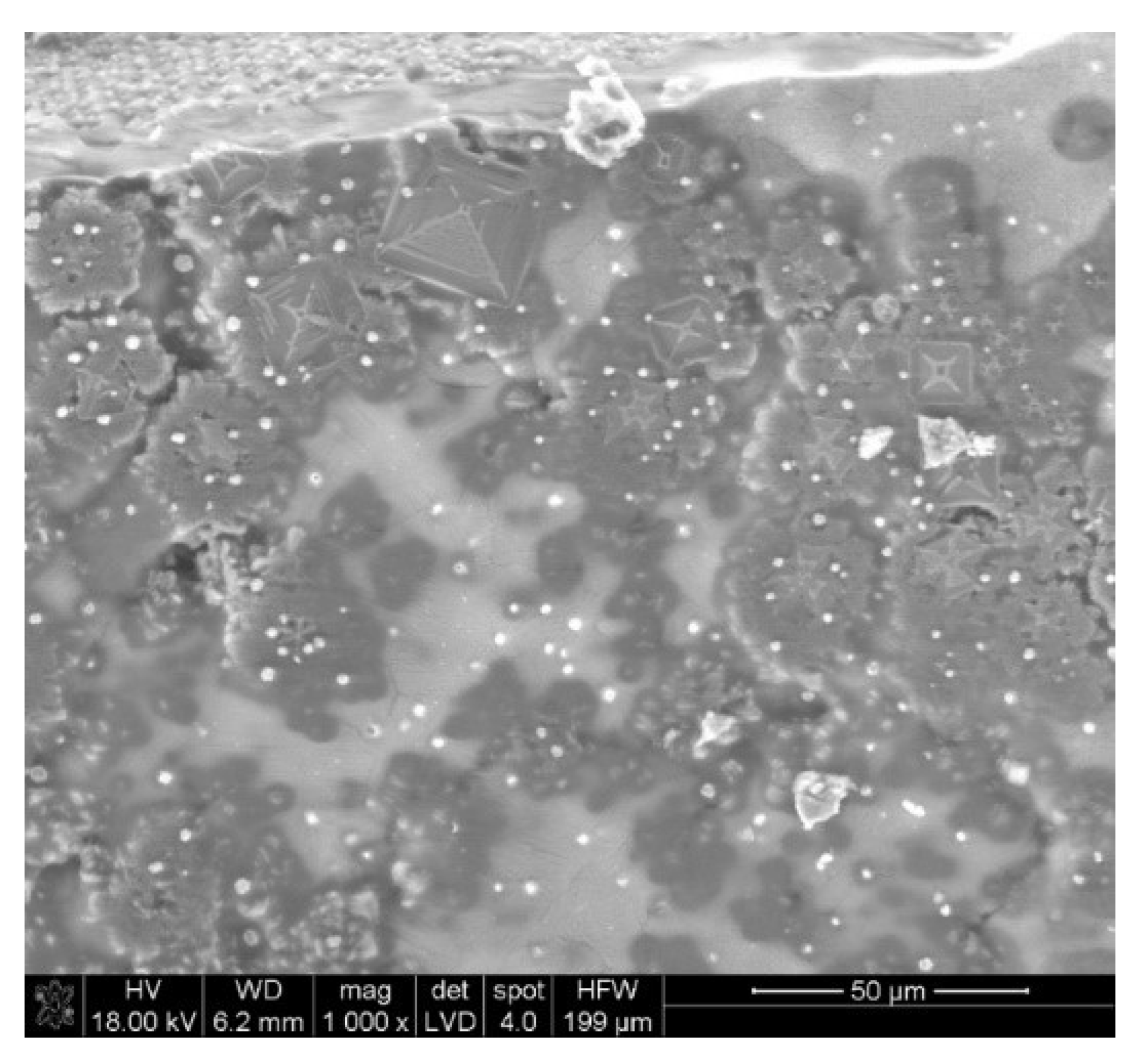 Metals 11 01032 g009 Metals 11 01032 g009