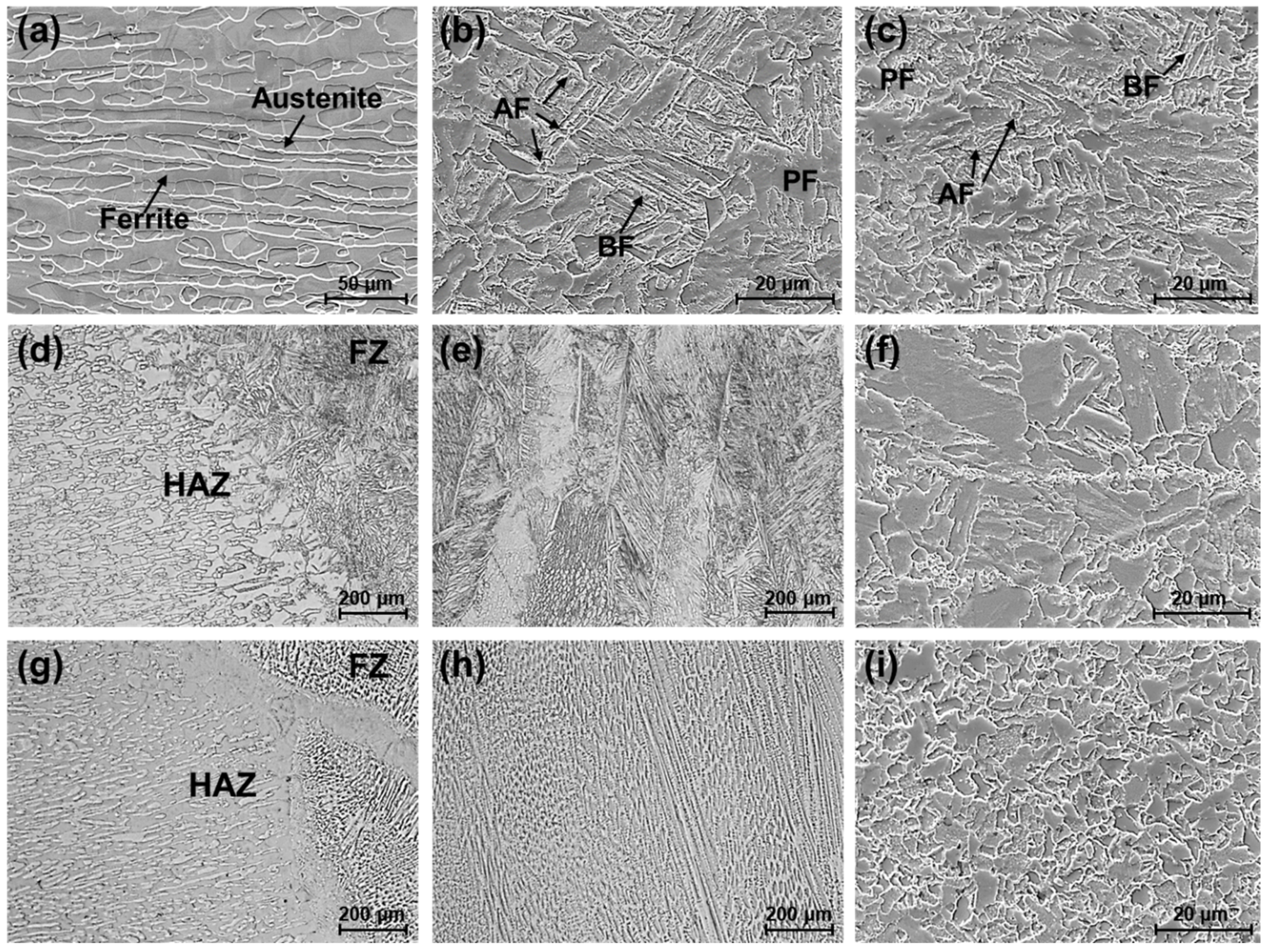 Metals 11 01039 g002 550