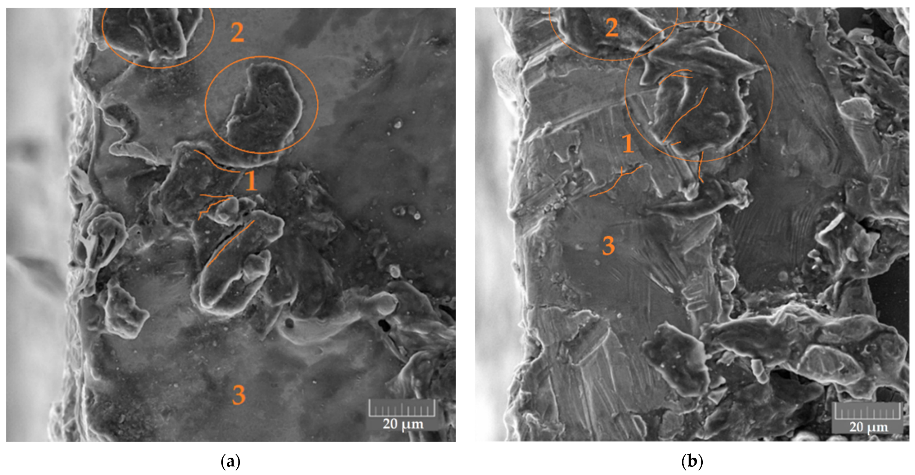 Metals 11 01040 g007 550