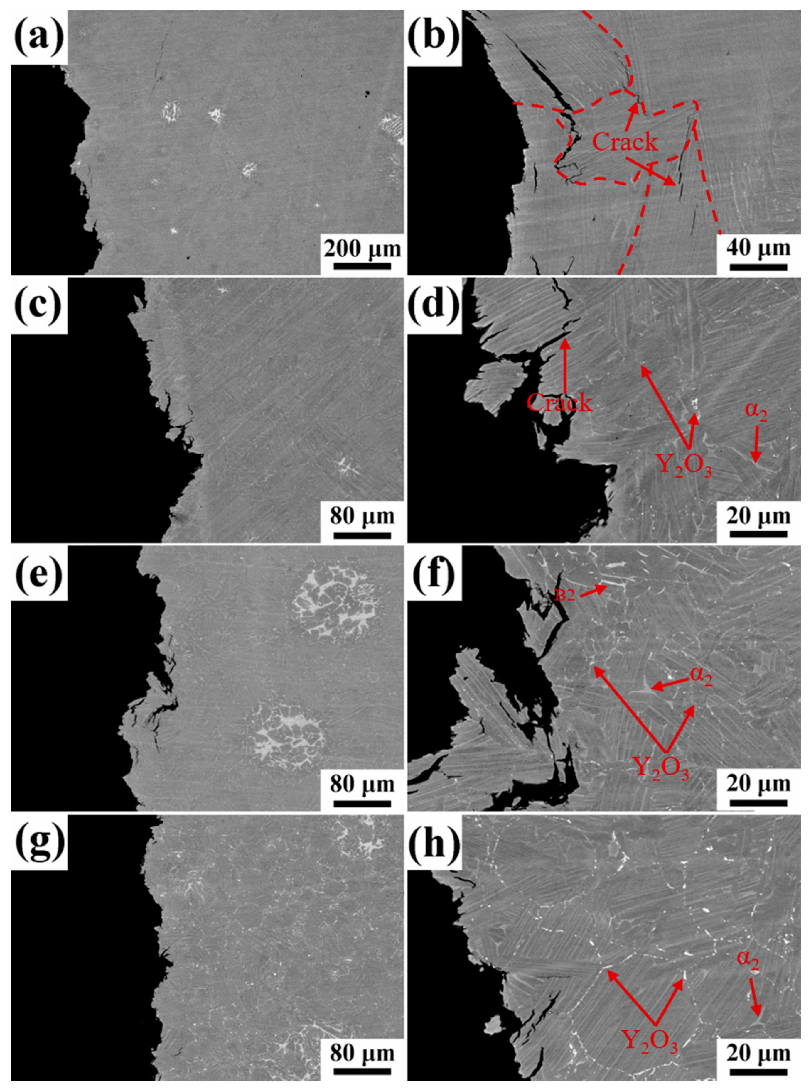 Metals 11 01048 g007 550