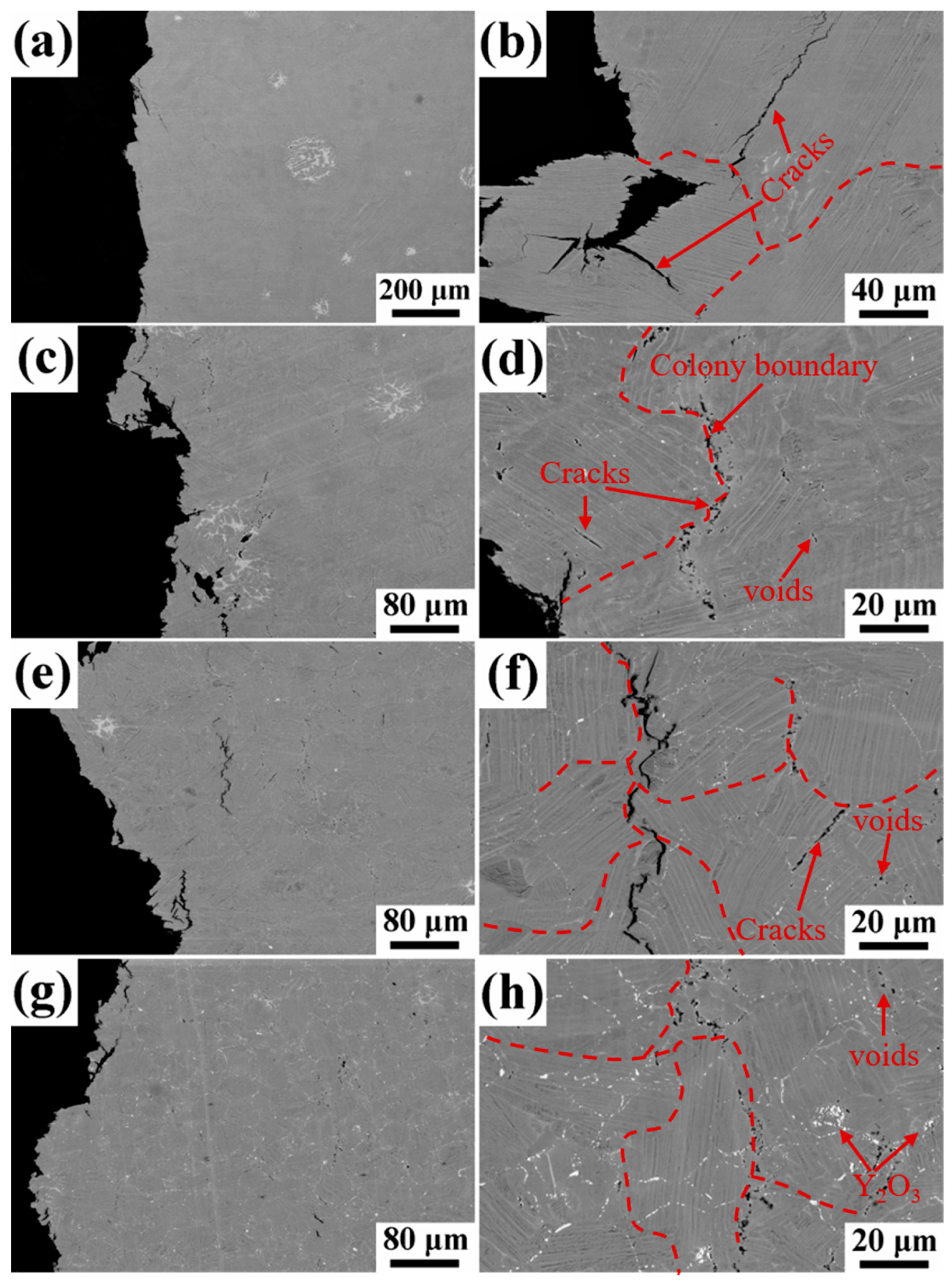 Metals 11 01048 g008 550