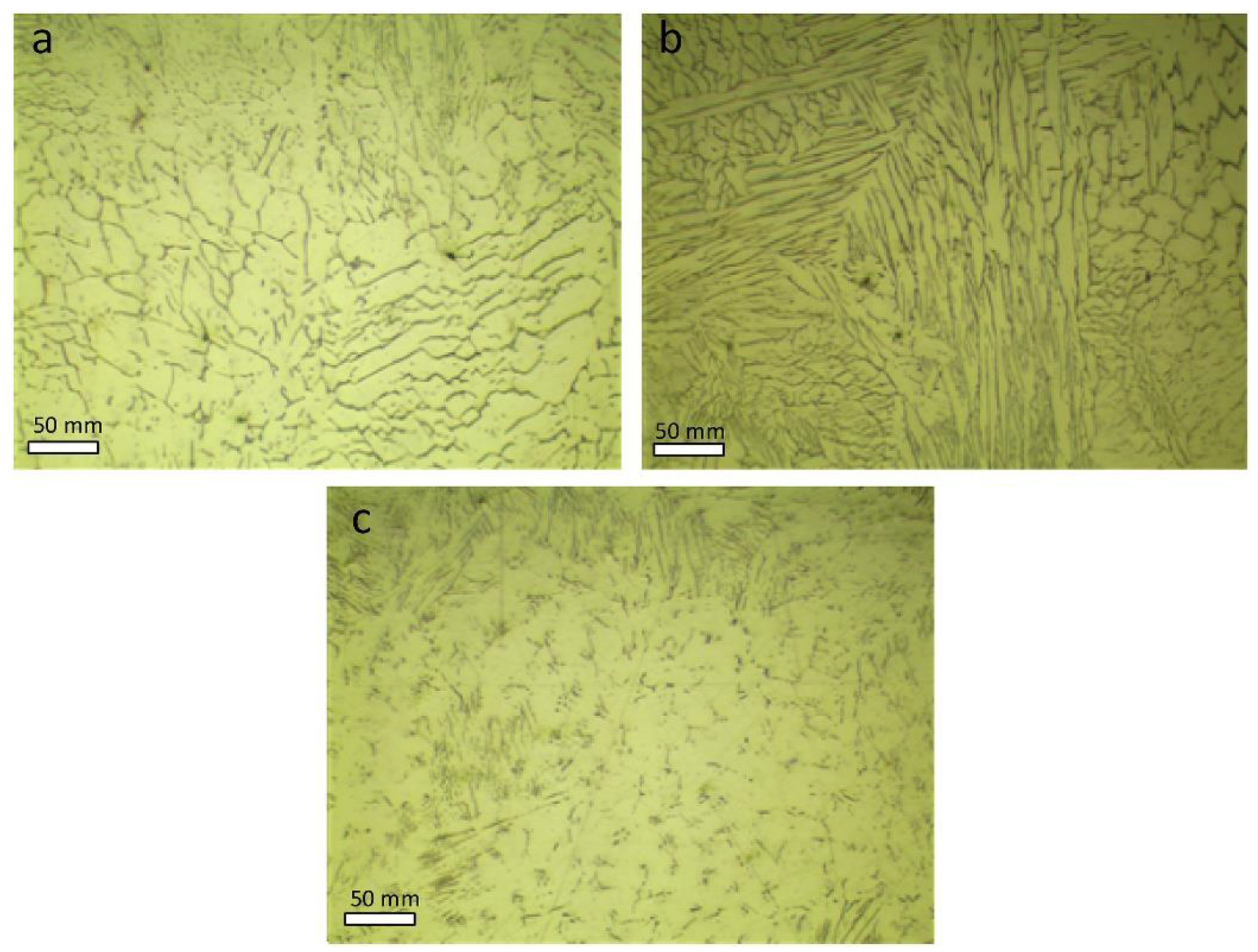 Metals 11 01052 g001