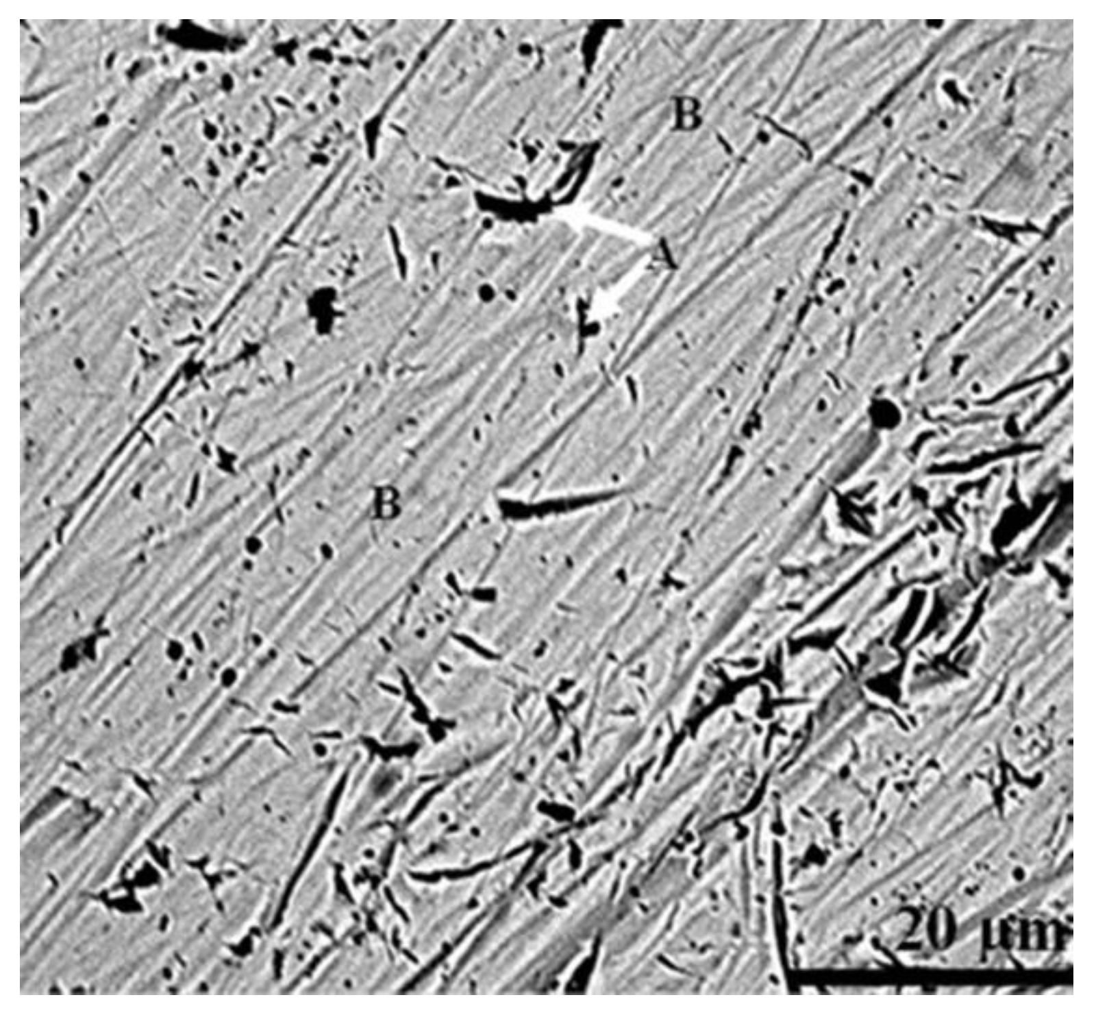 Metals 11 01052 g004