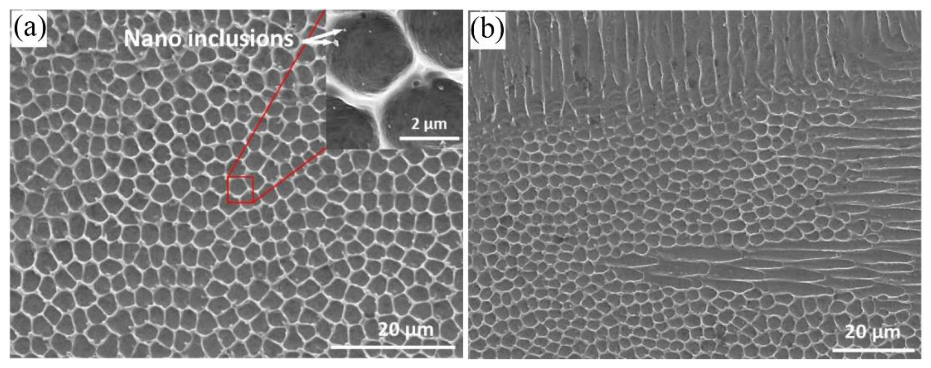 Metals 11 01052 g011