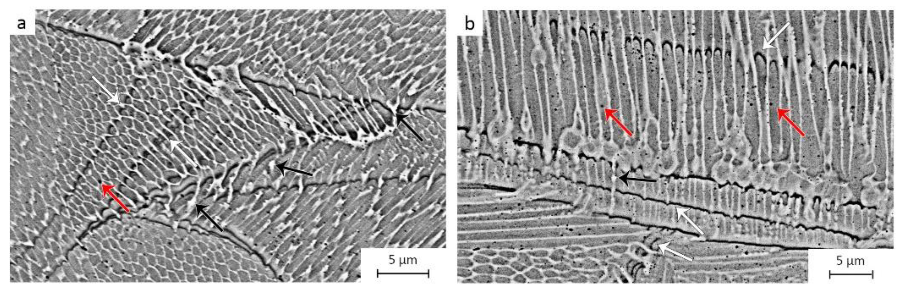Metals 11 01052 g013