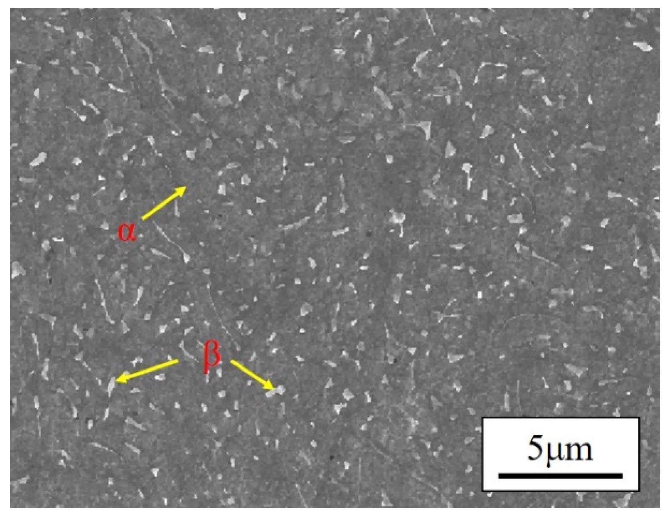 Metals 11 01057 g001