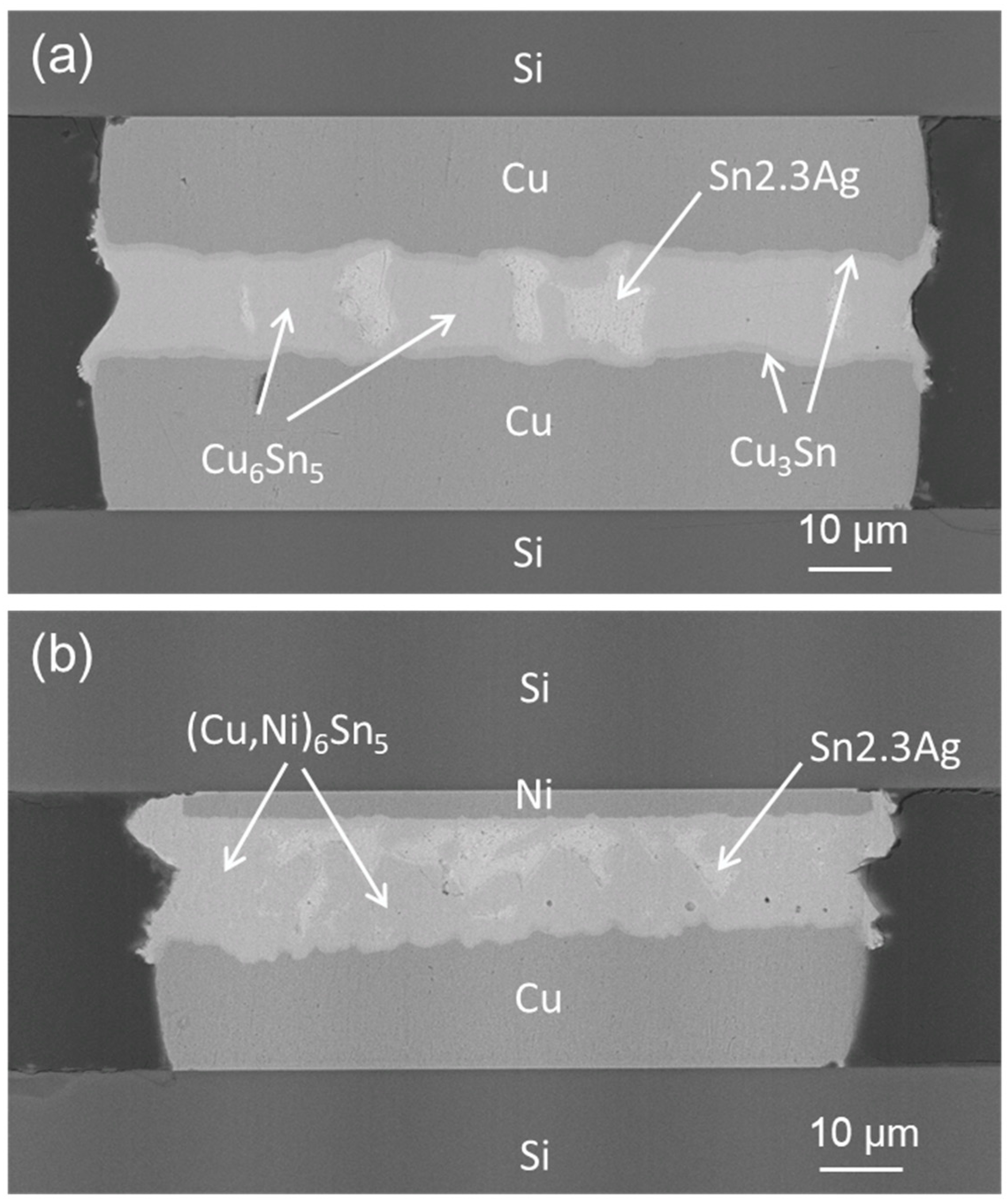 Metals 11 01065 g005 550