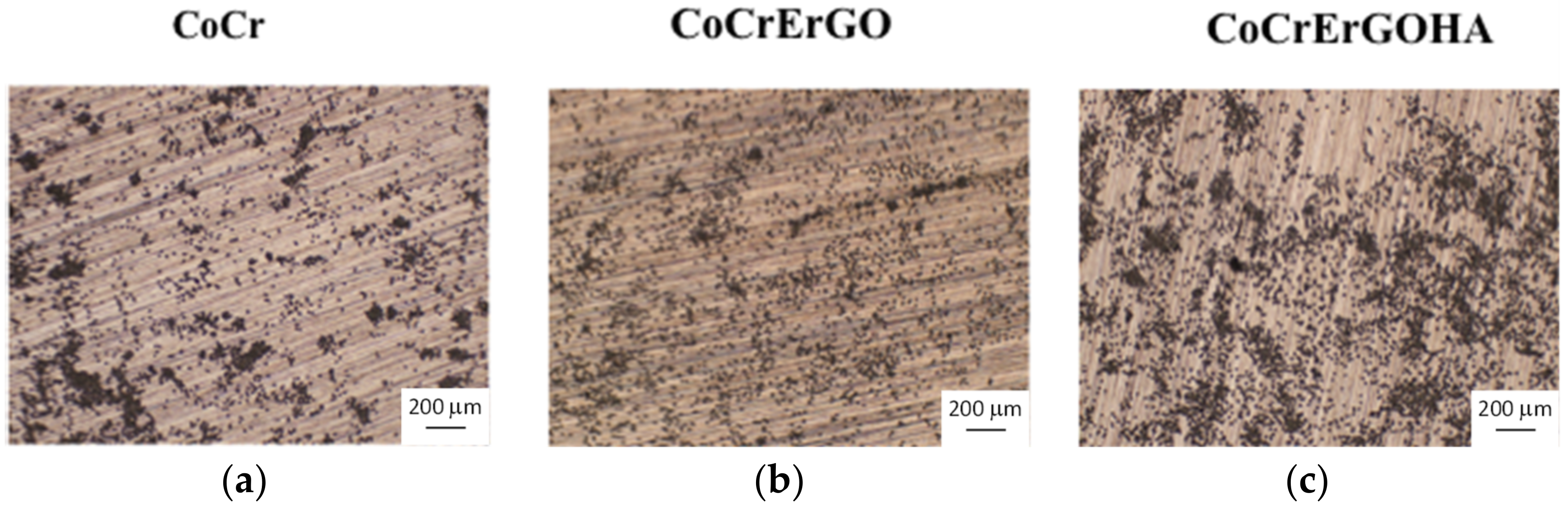 Metals 11 01078 g004 550