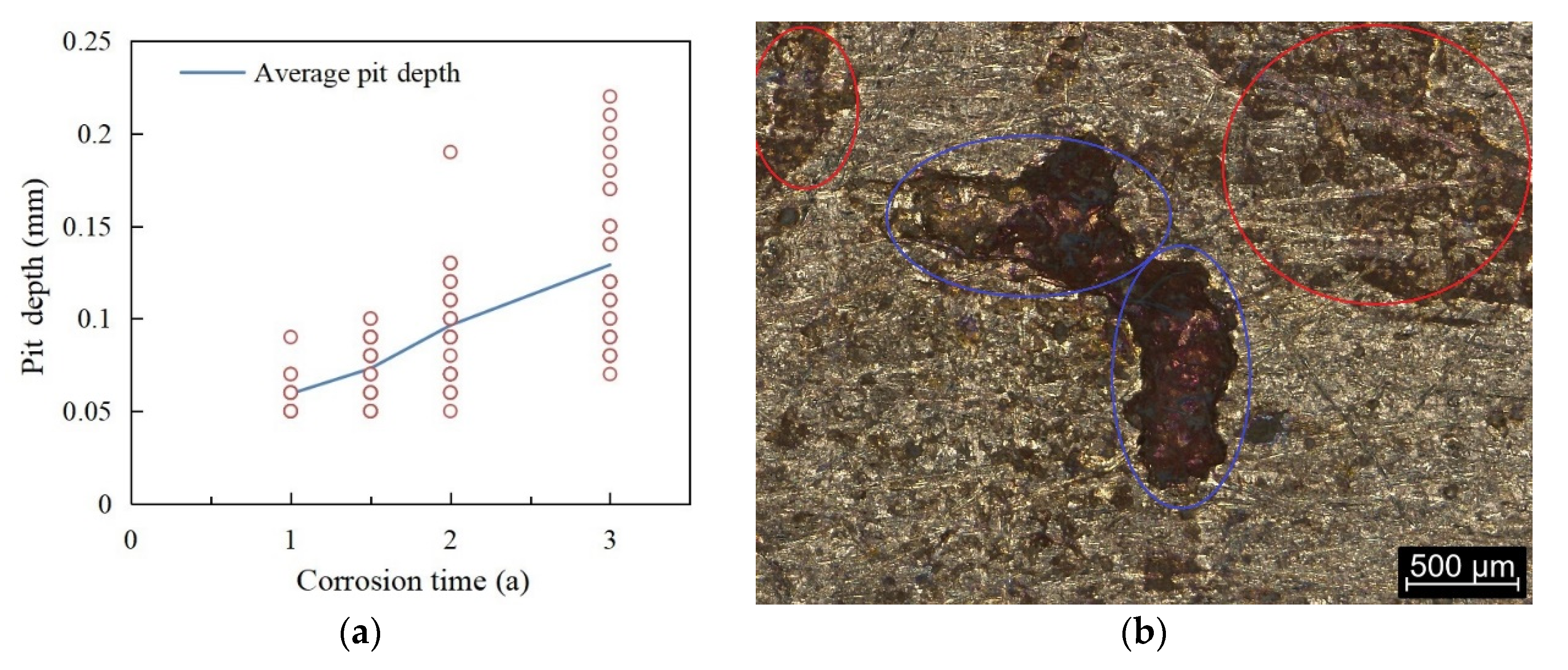 Metals 11 01080 g004 550