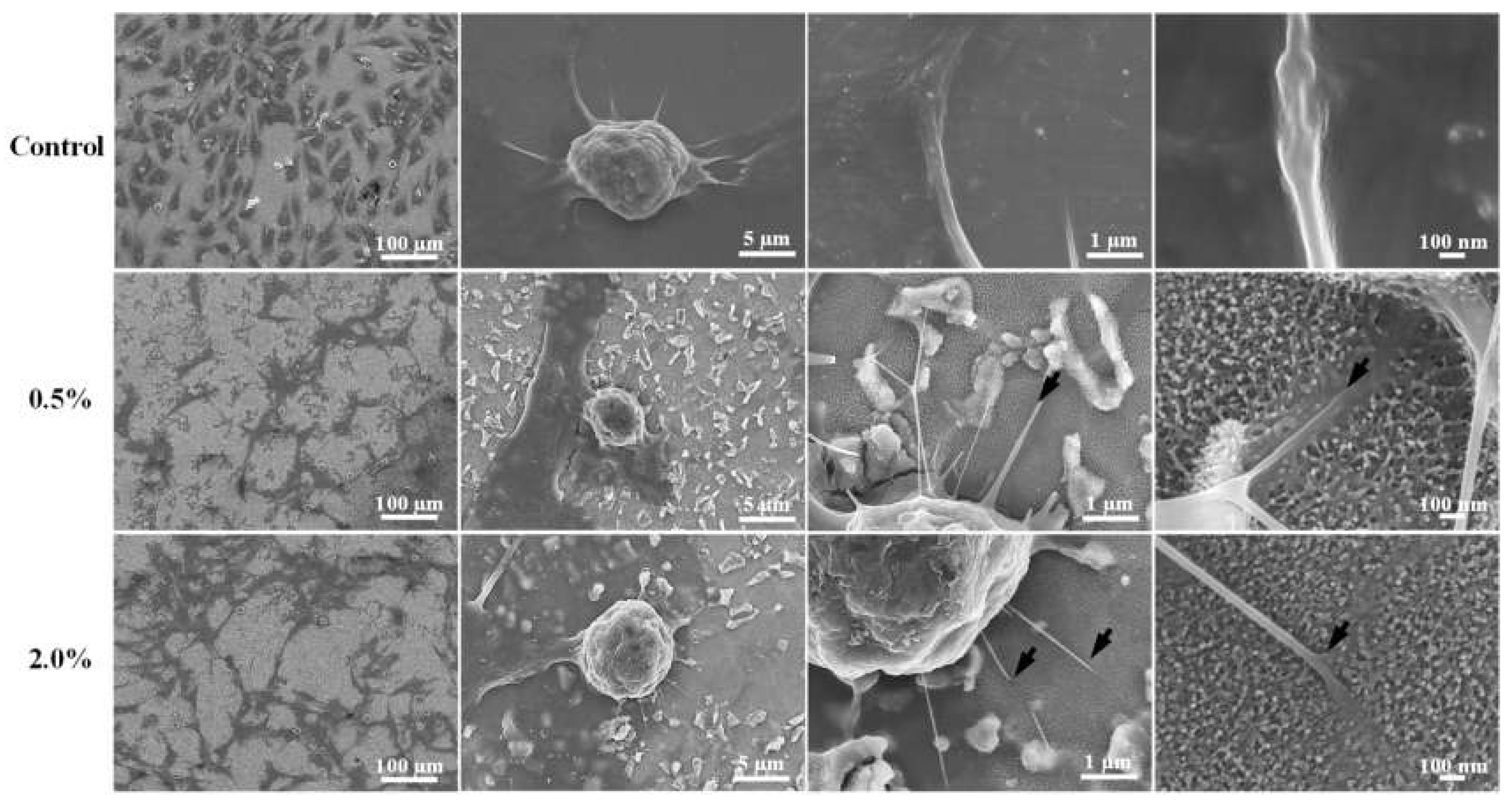 Metals 11 01090 g005 Metals 11 01090 g005