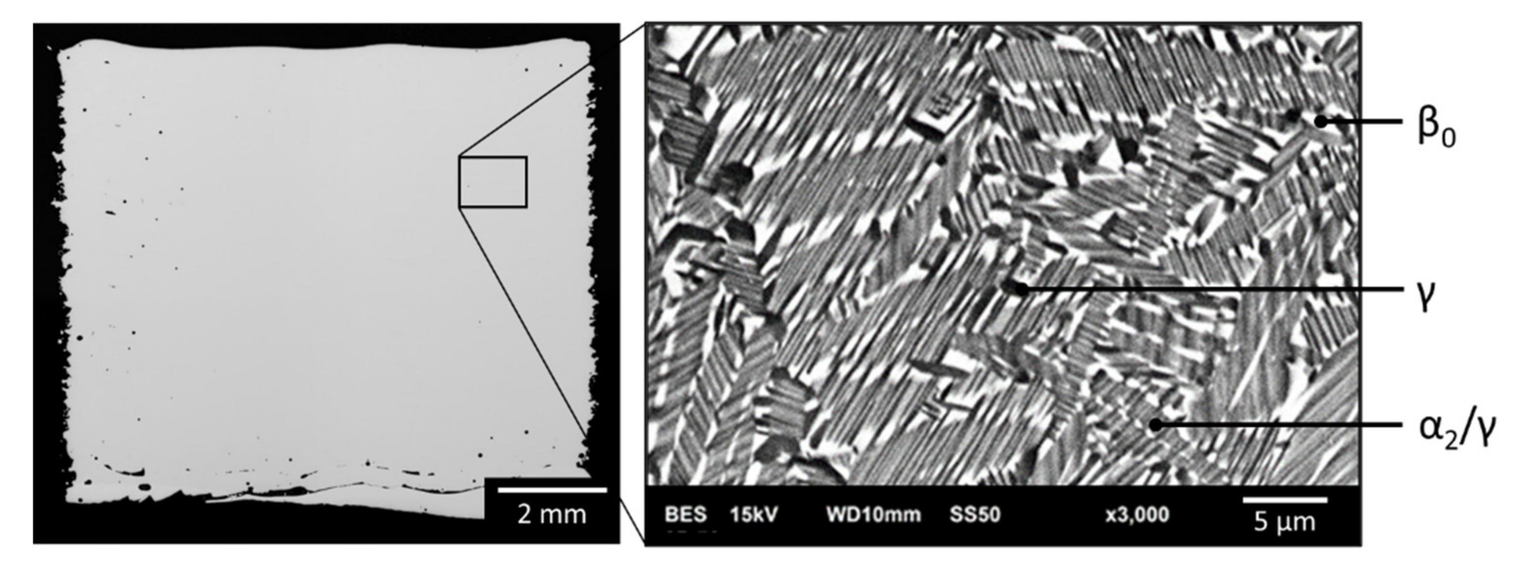 Metals 11 01093 g005 550