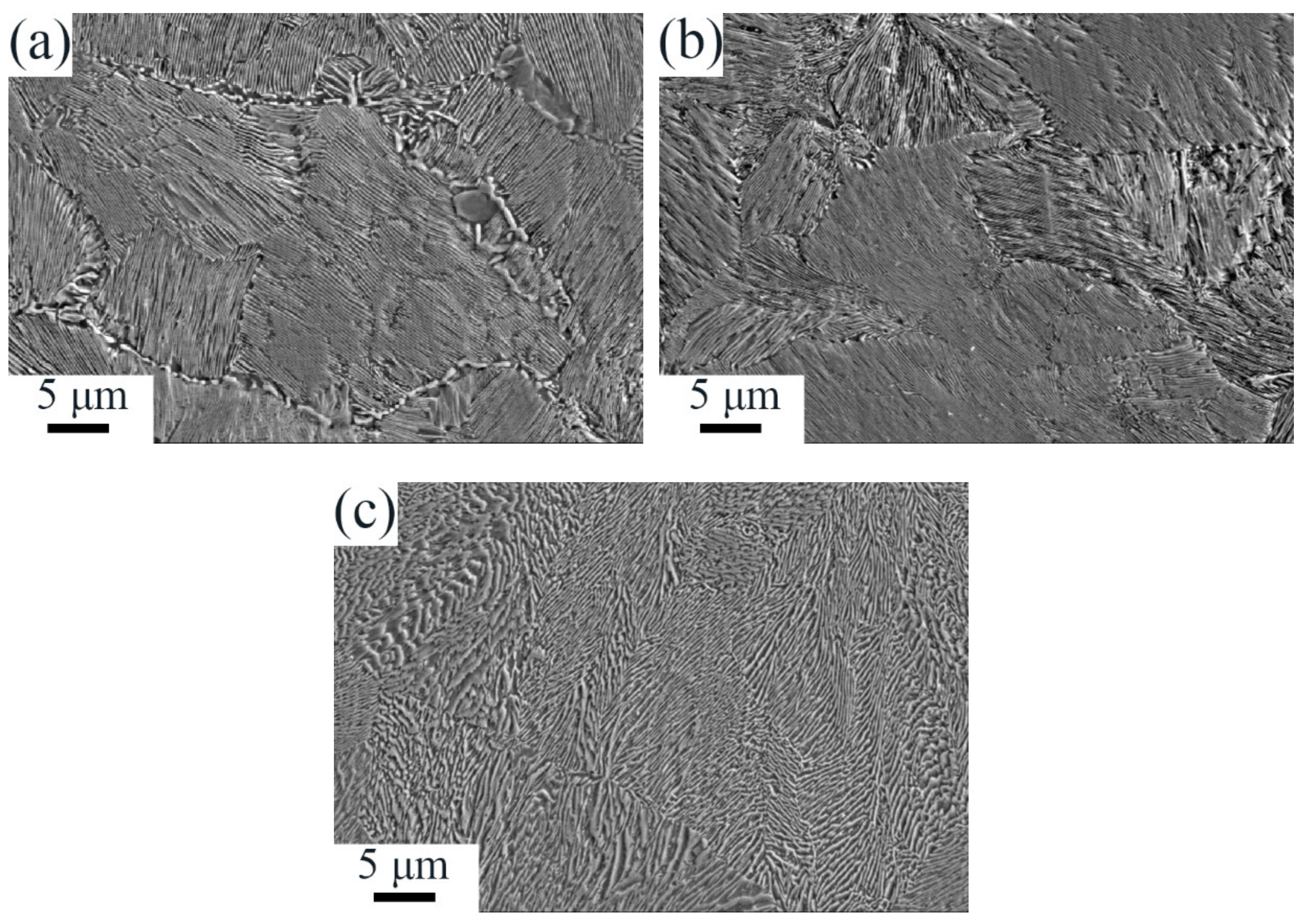 Metals 11 01116 g002