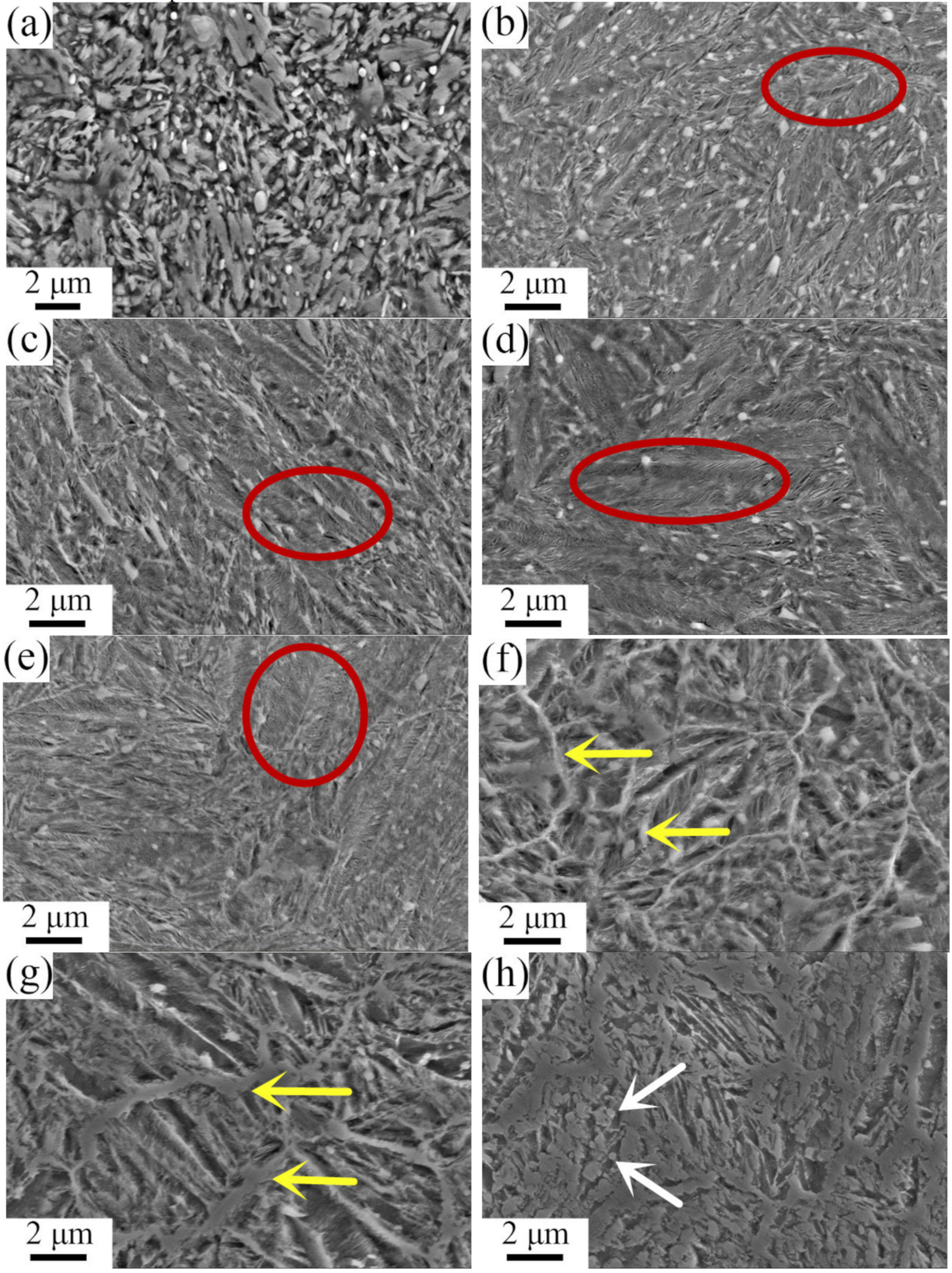 Metals 11 01116 g009a