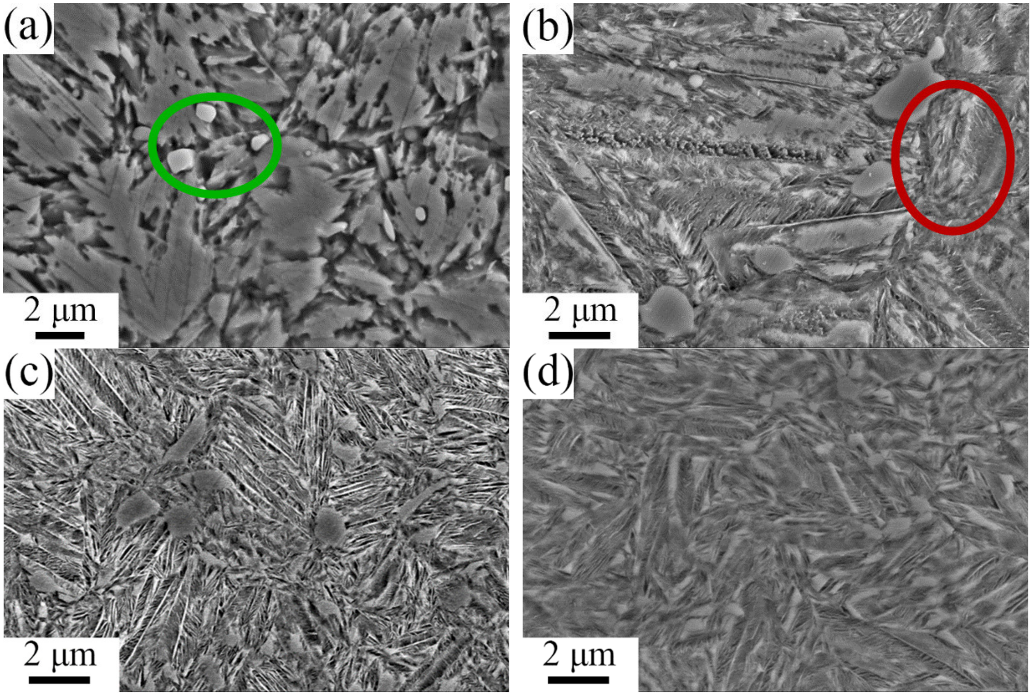 Metals 11 01116 g010a