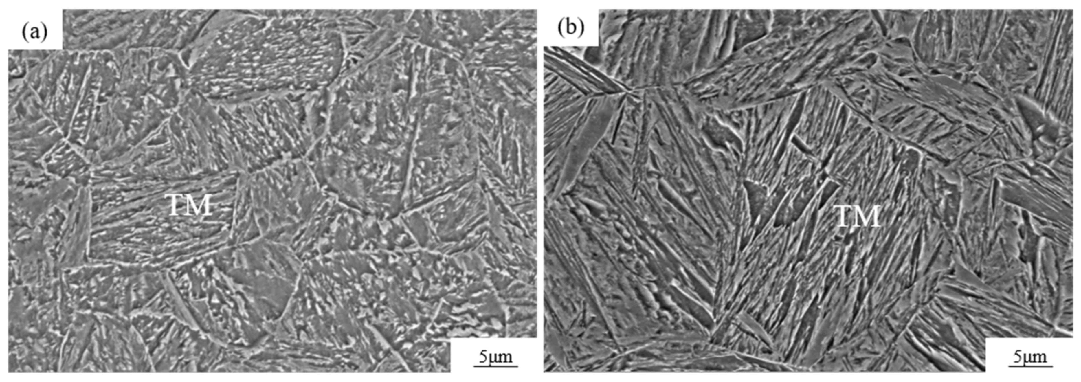 Metals 11 01121 g006