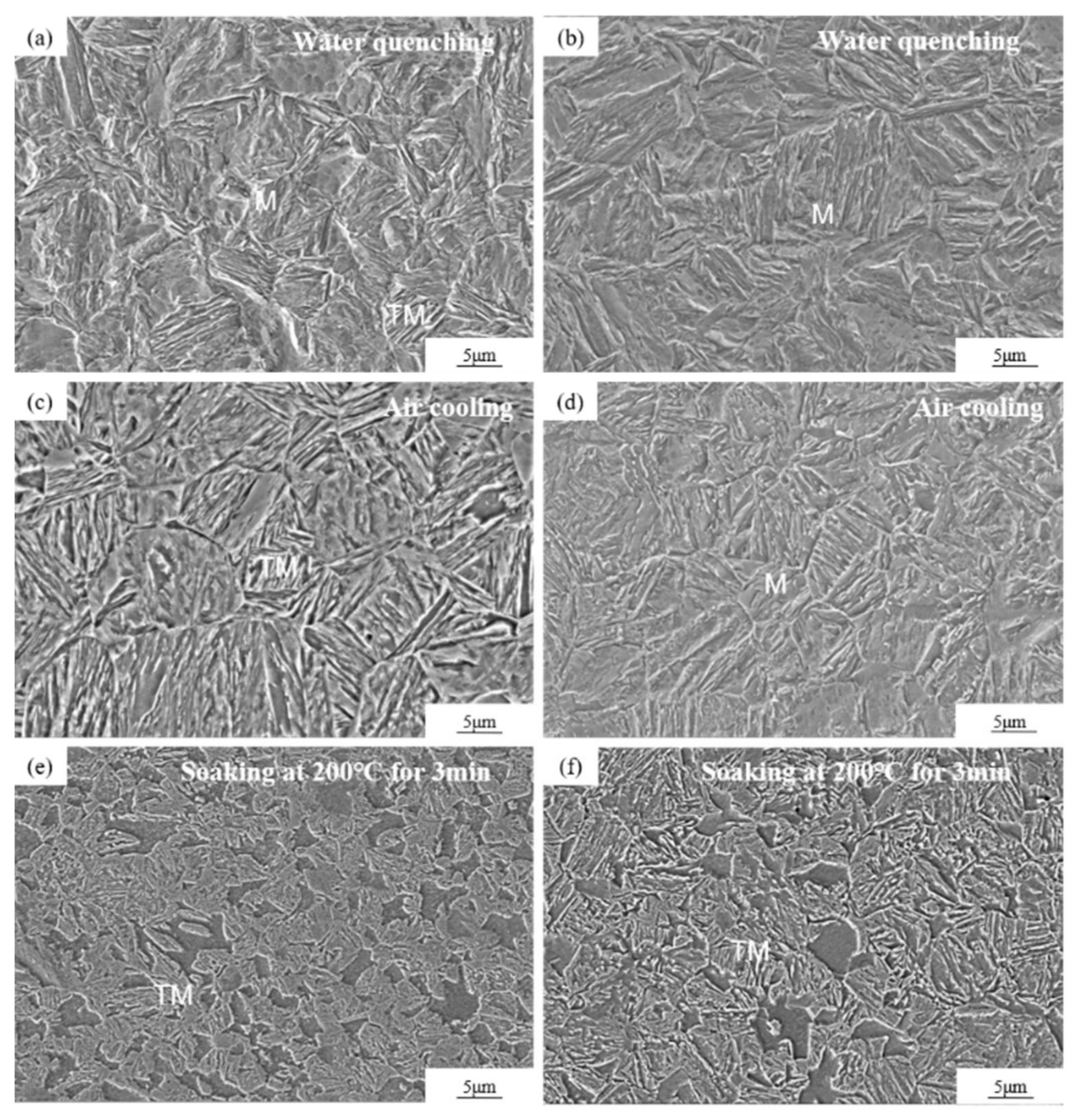 Metals 11 01121 g010