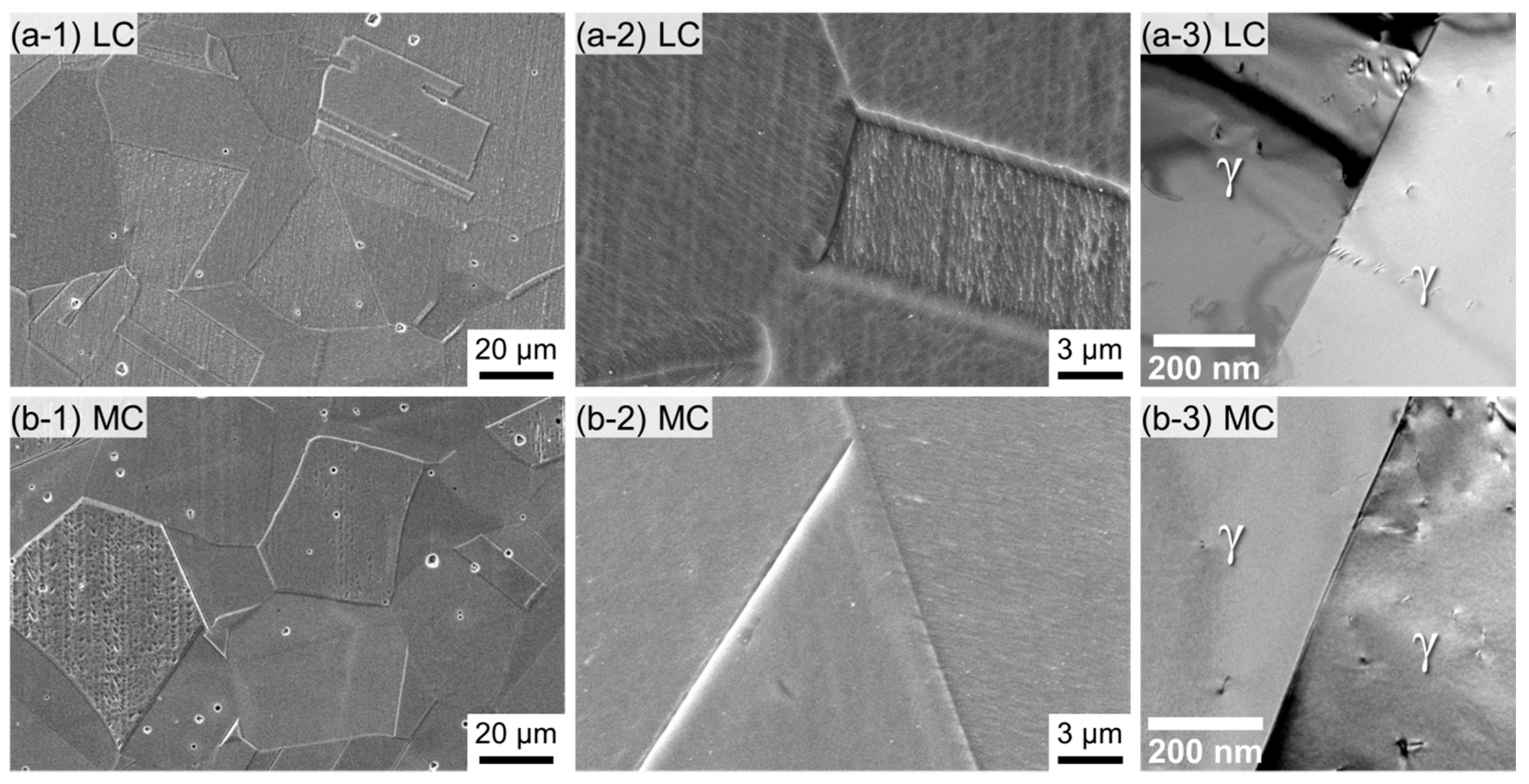 Metals 11 01124 g003 550