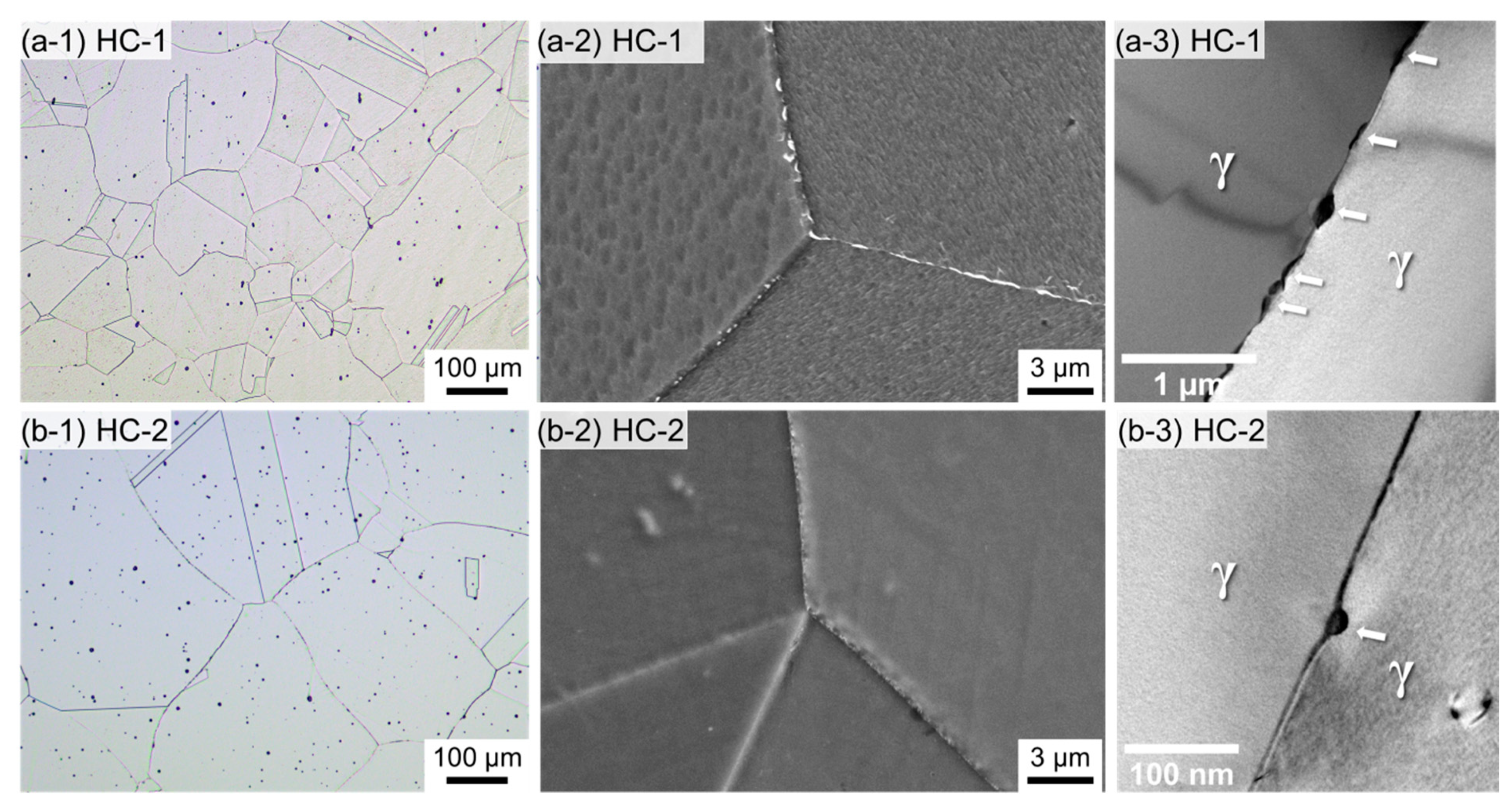 Metals 11 01124 g004 550