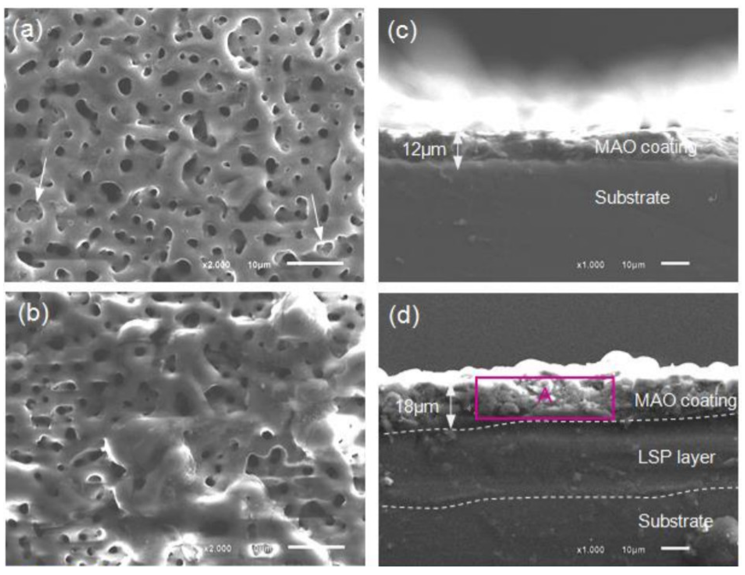 Metals 11 01133 g020 550