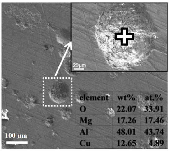 Promising Methods for Corrosion Protection of Magnesium