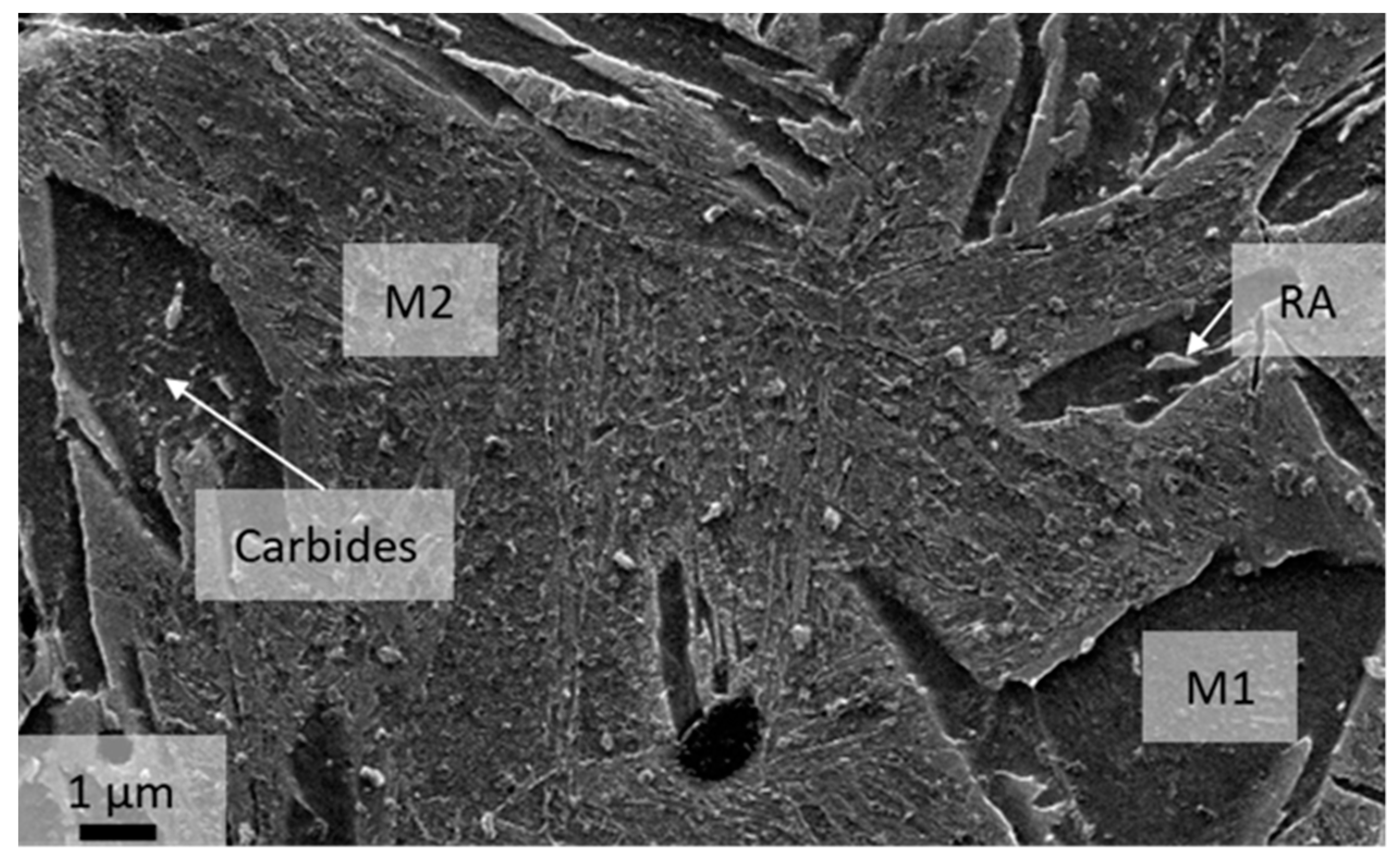 Metals 11 01136 g008