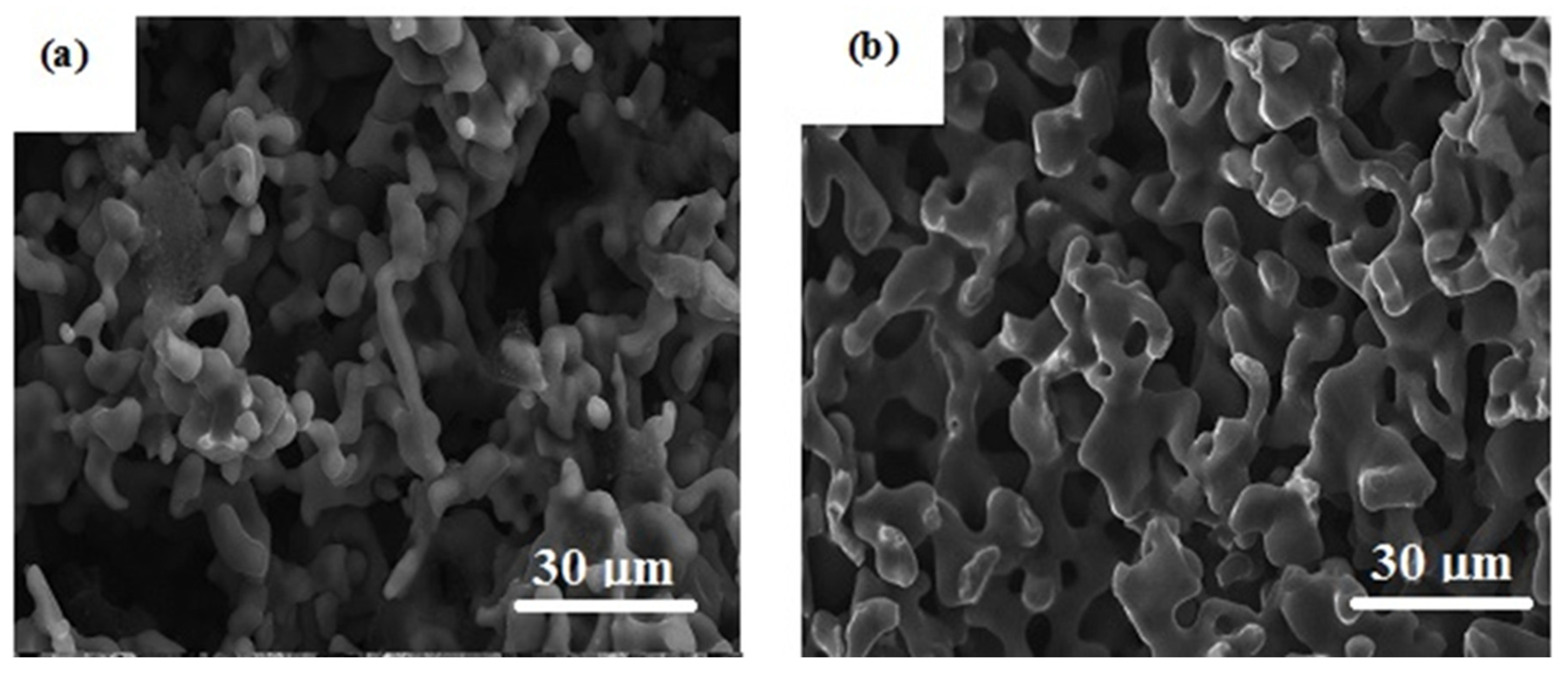 Metals 11 01137 g014 550