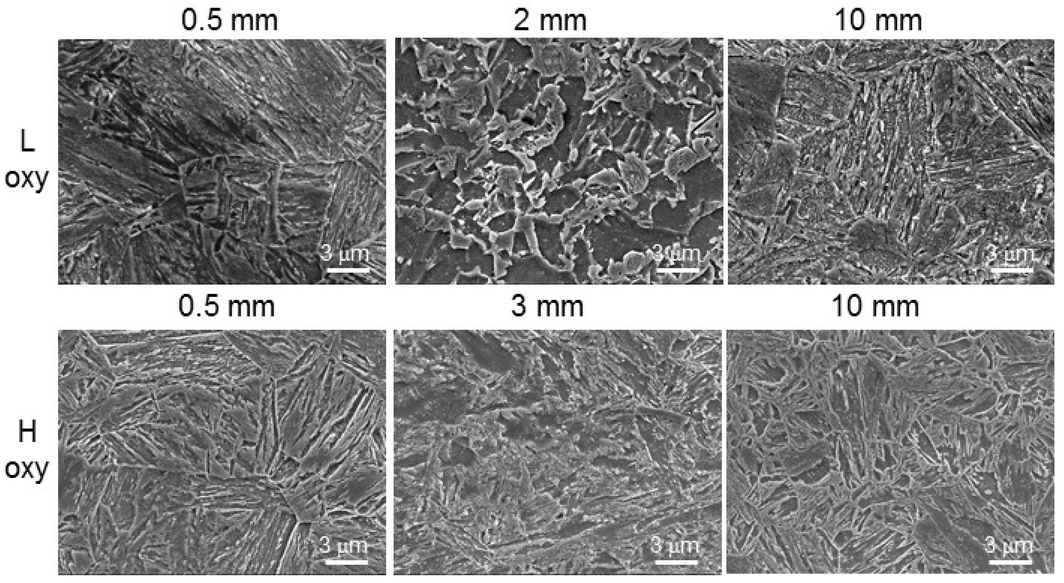 Metals 11 01138 g003