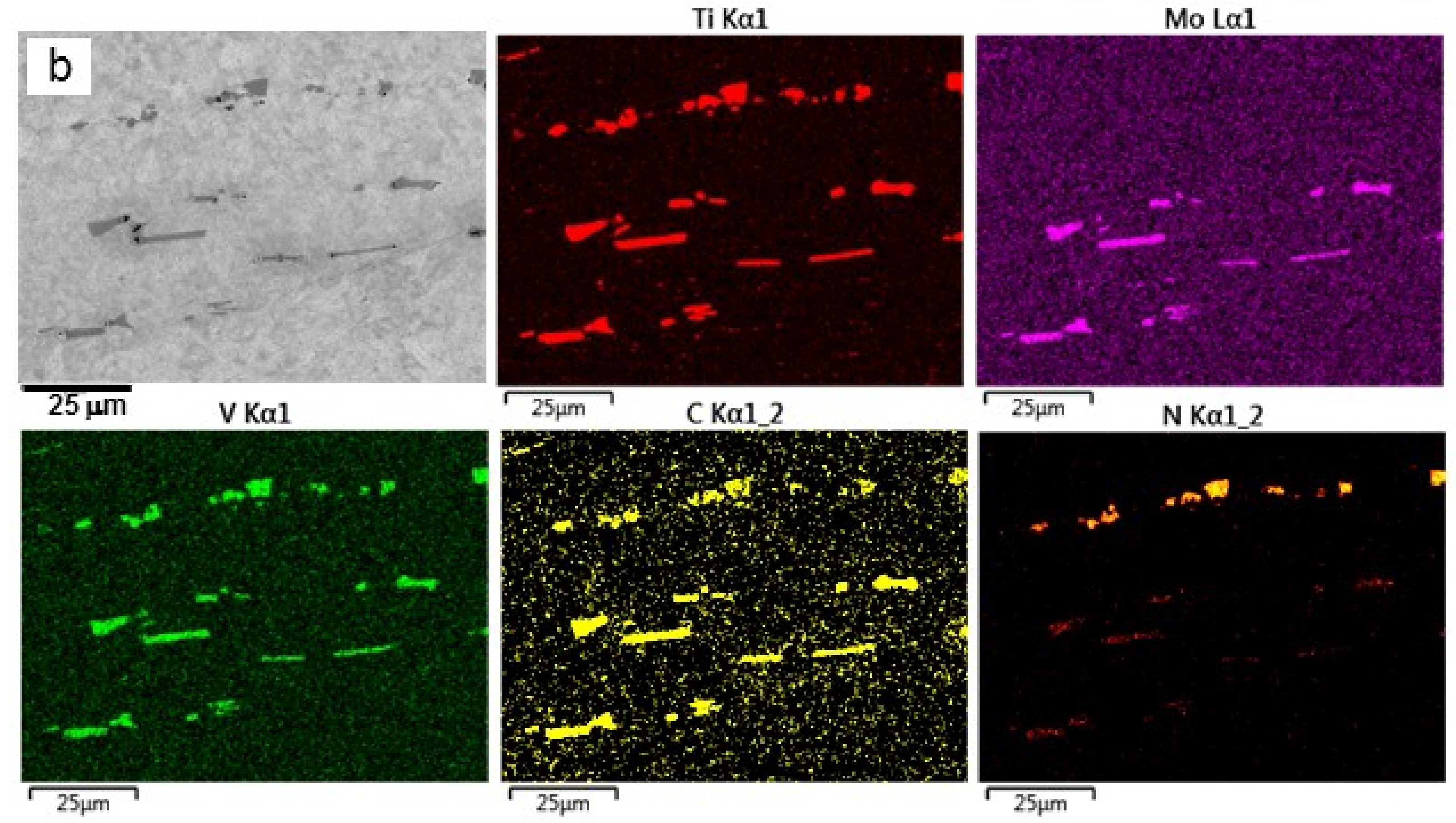 Metals 11 01138 g005b