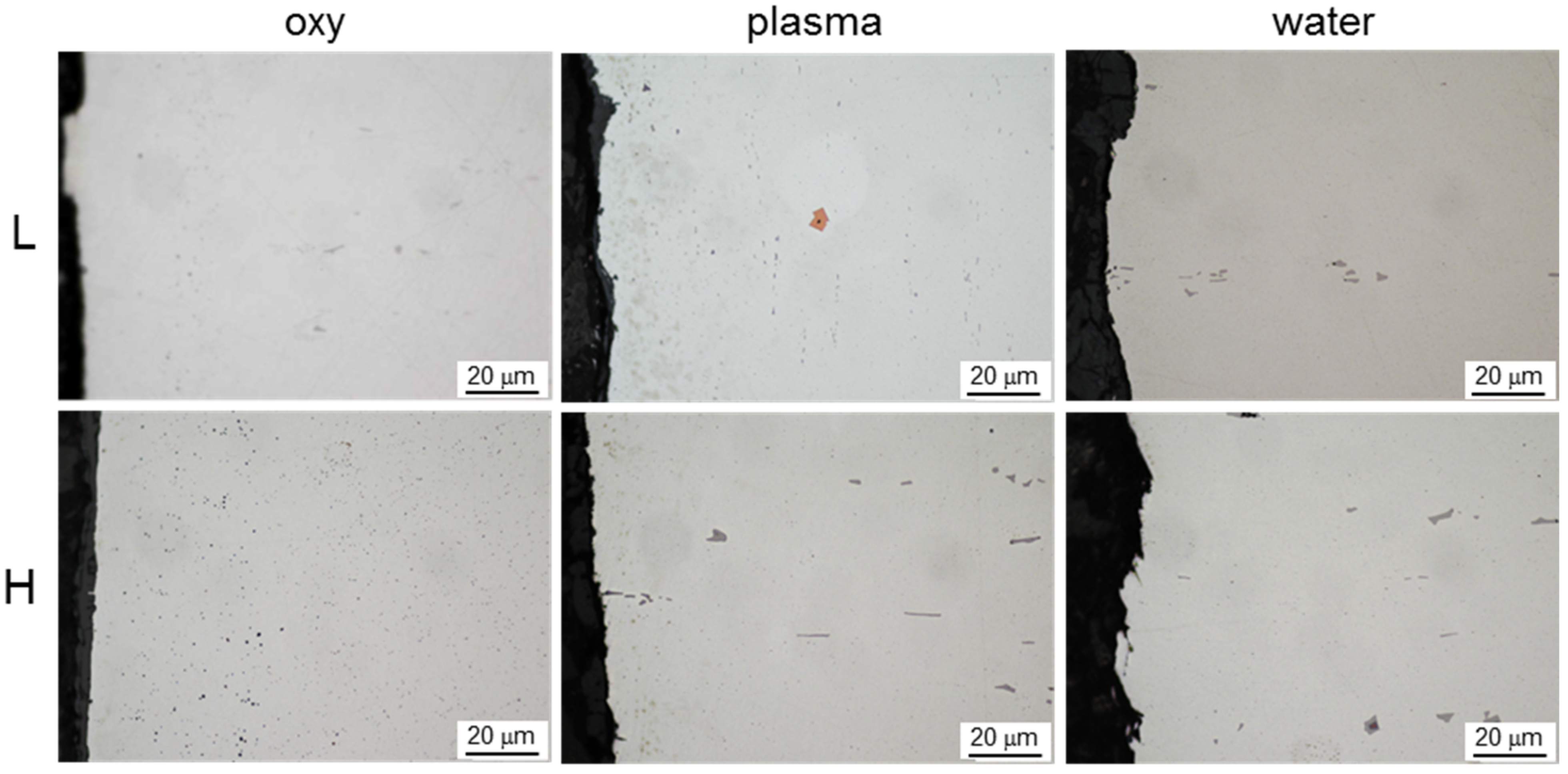 Metals 11 01138 g006