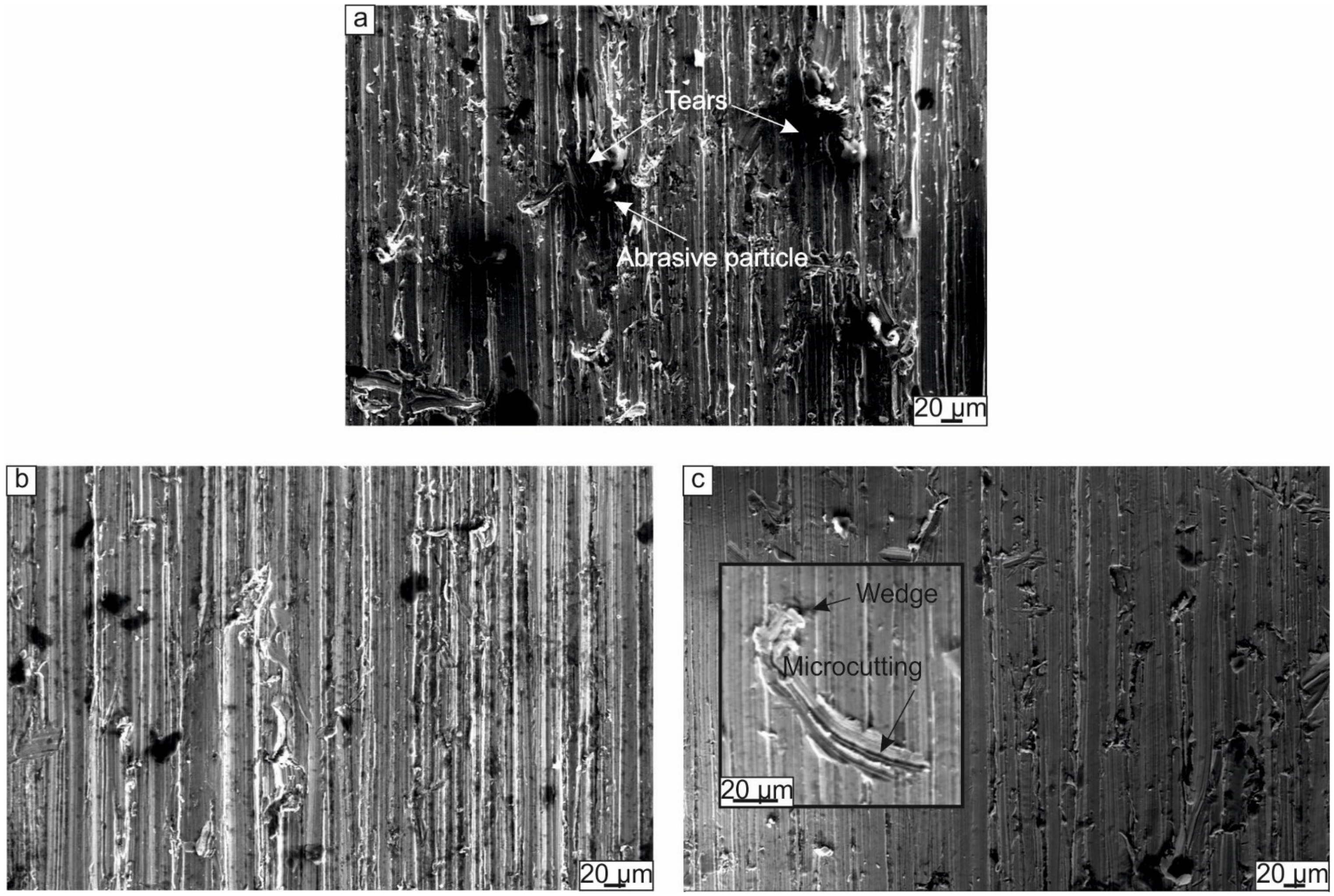 Metals 11 01139 g007 550