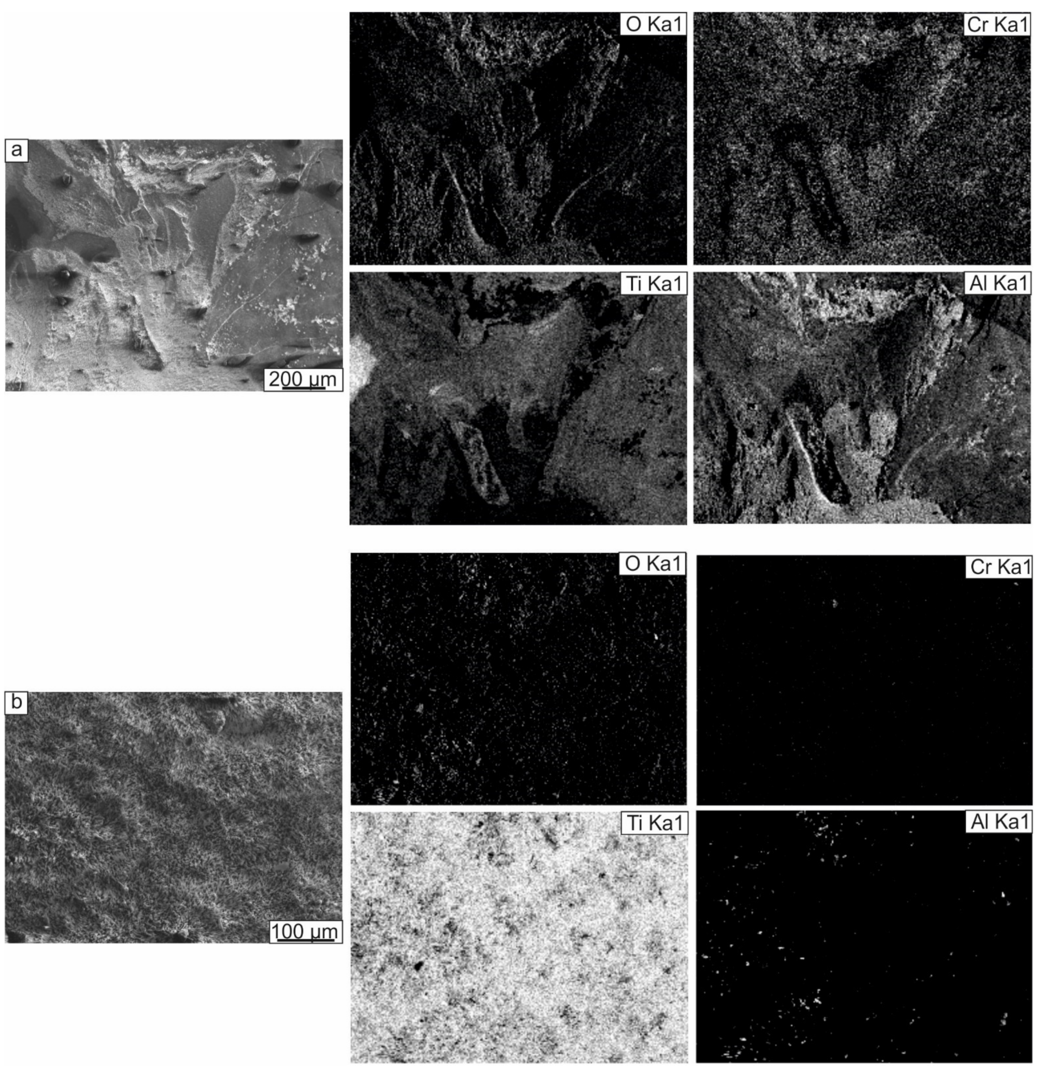 Metals 11 01139 g011 550