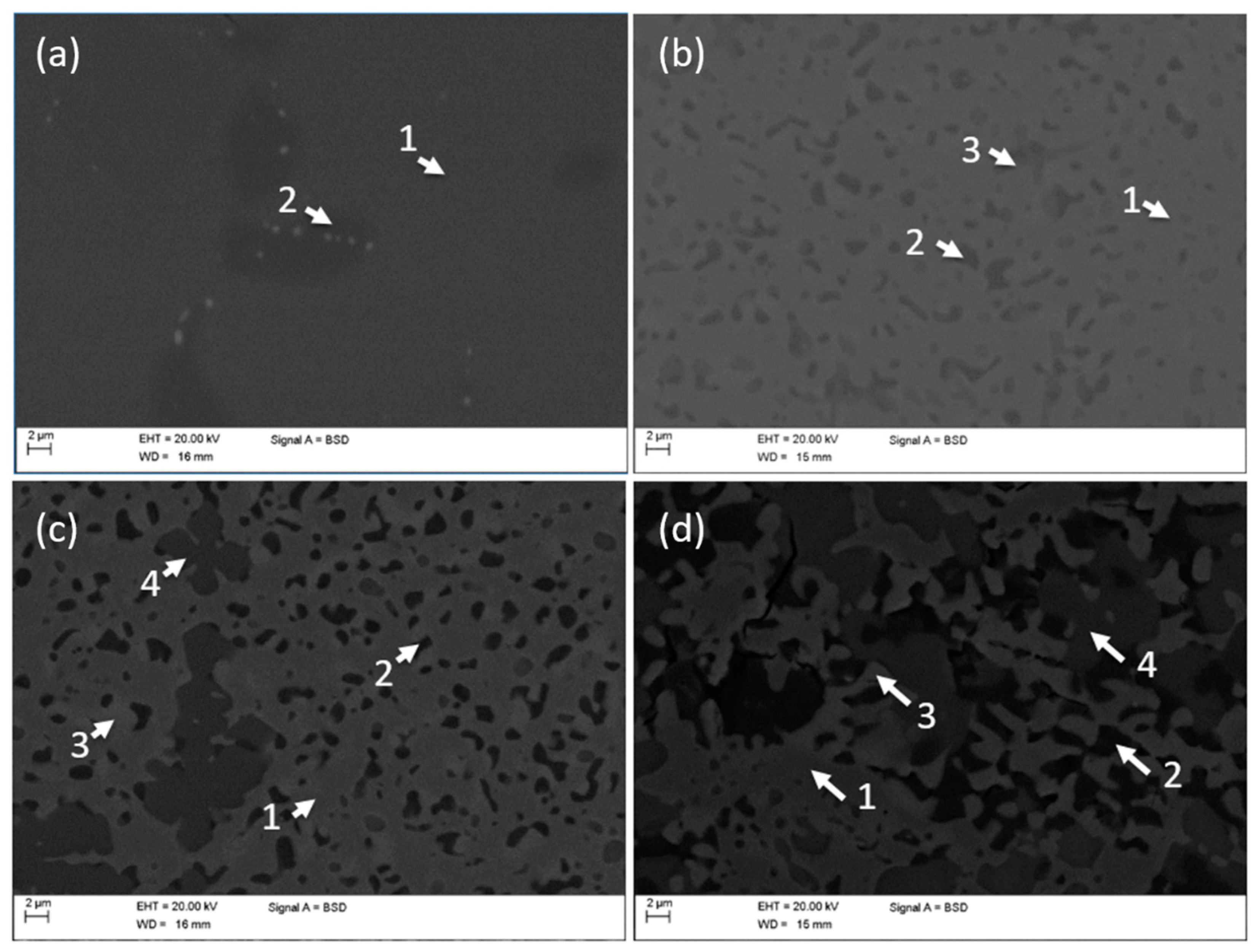 Metals 11 01141 g001 550