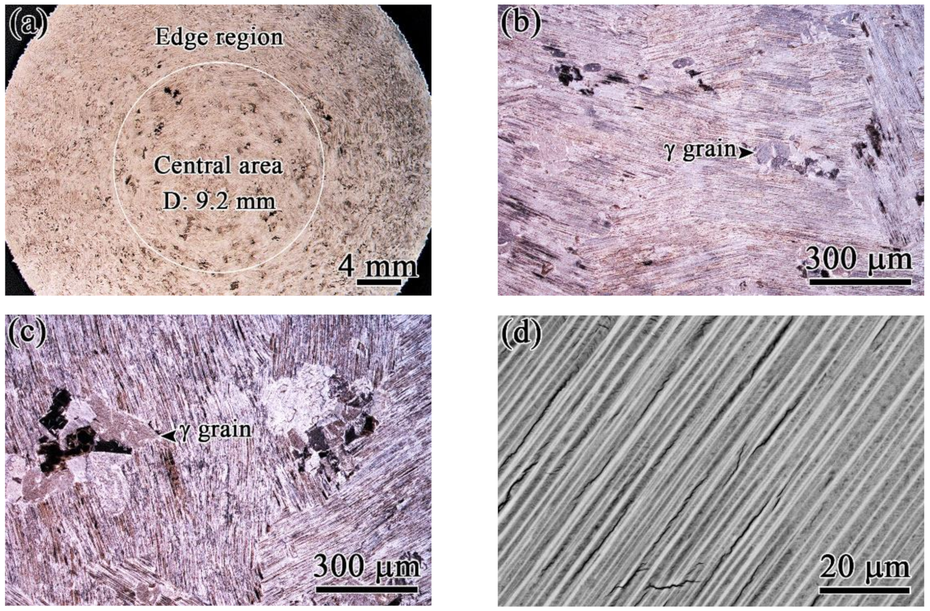 Metals 11 01156 g007 Metals 11 01156 g007