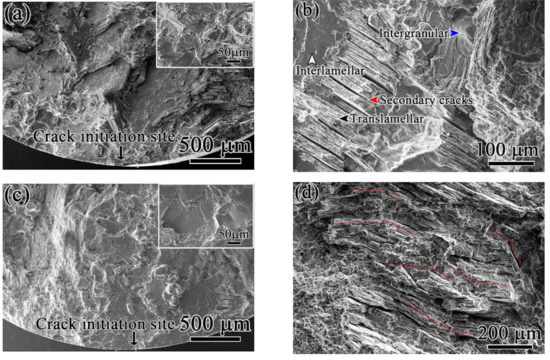 Effects of Hot Isostatic Pressing and Heat Treatment on the ...